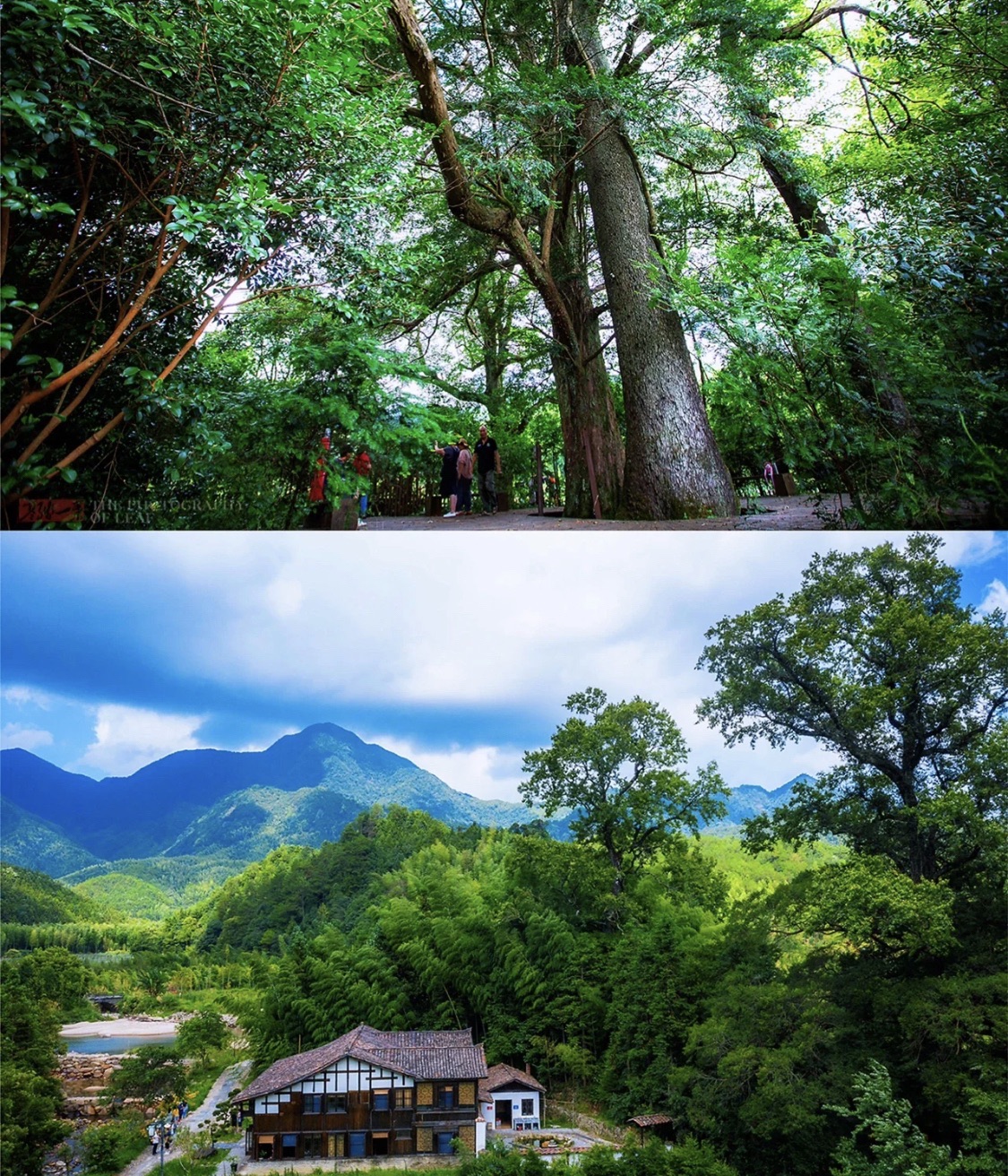 云灵山旅游景区旅行图片 1
