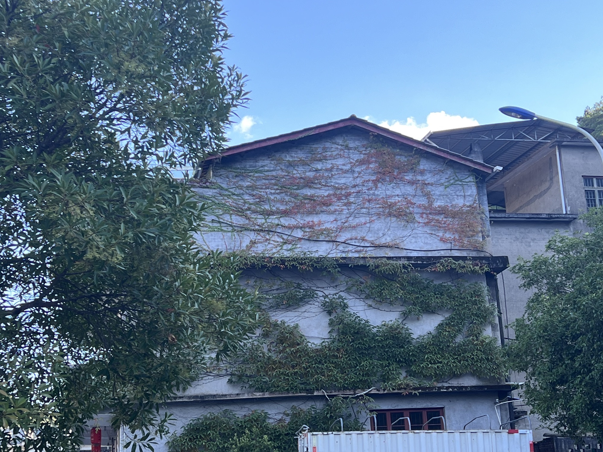 武夷山大安源生态旅游区旅行图片 2