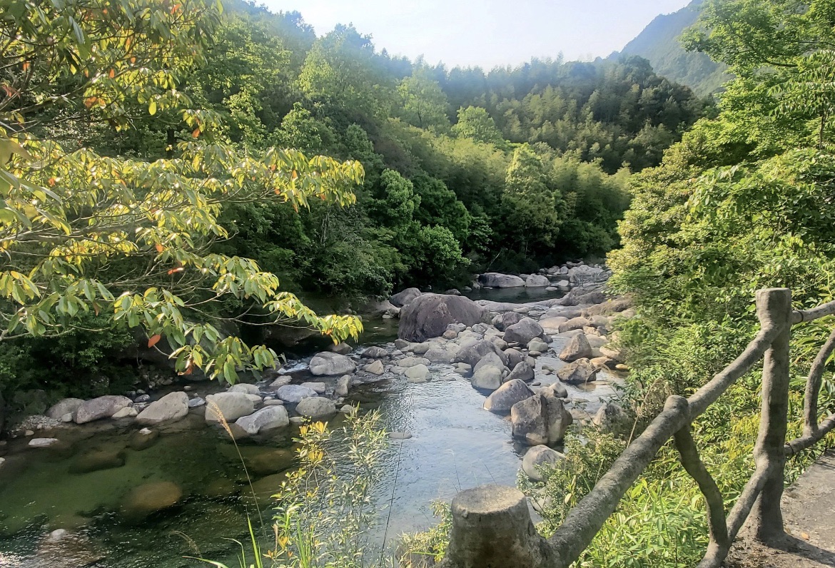 武夷山大安源生态旅游区旅行图片 2