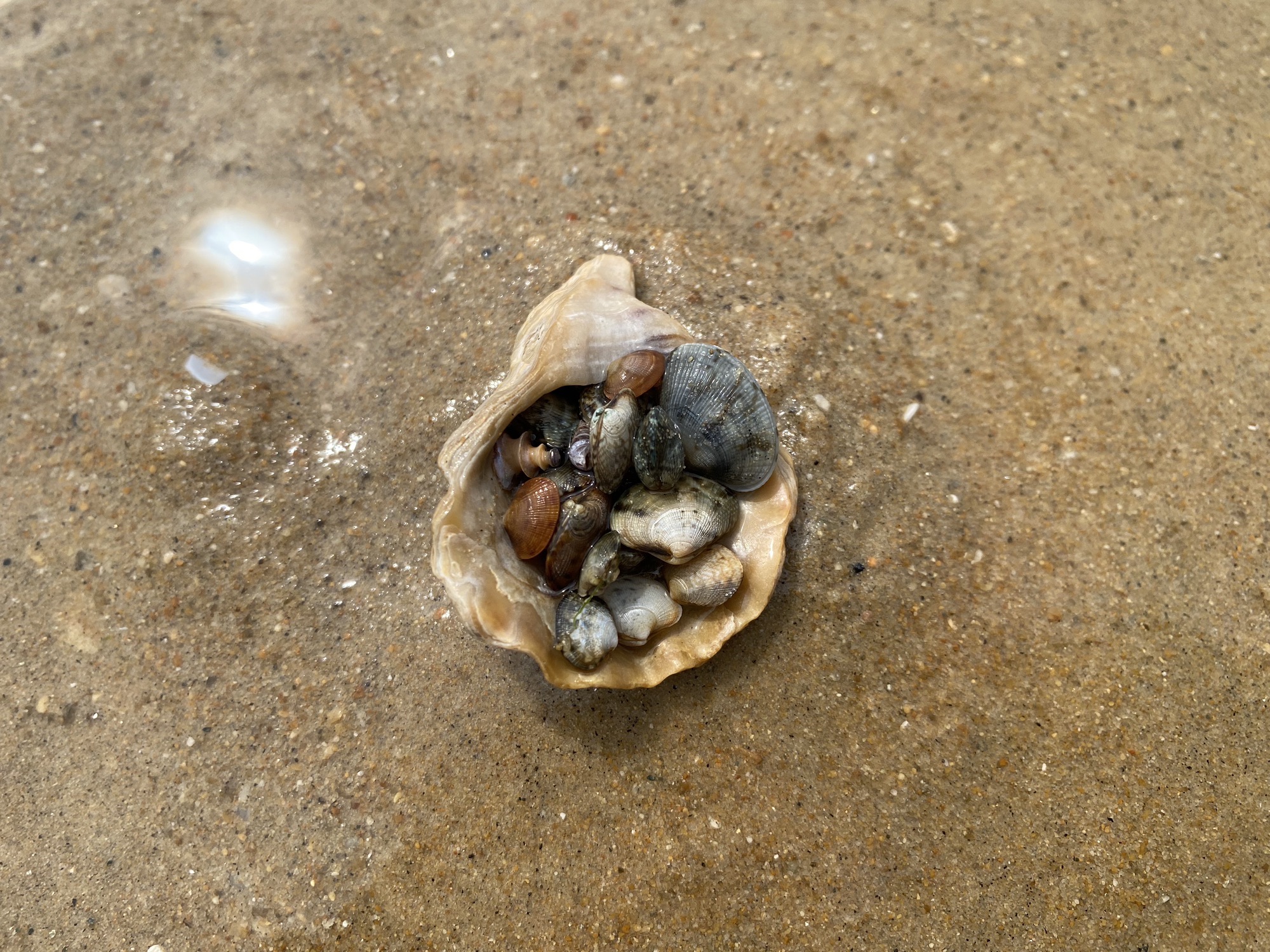海上公园旅行图片 3