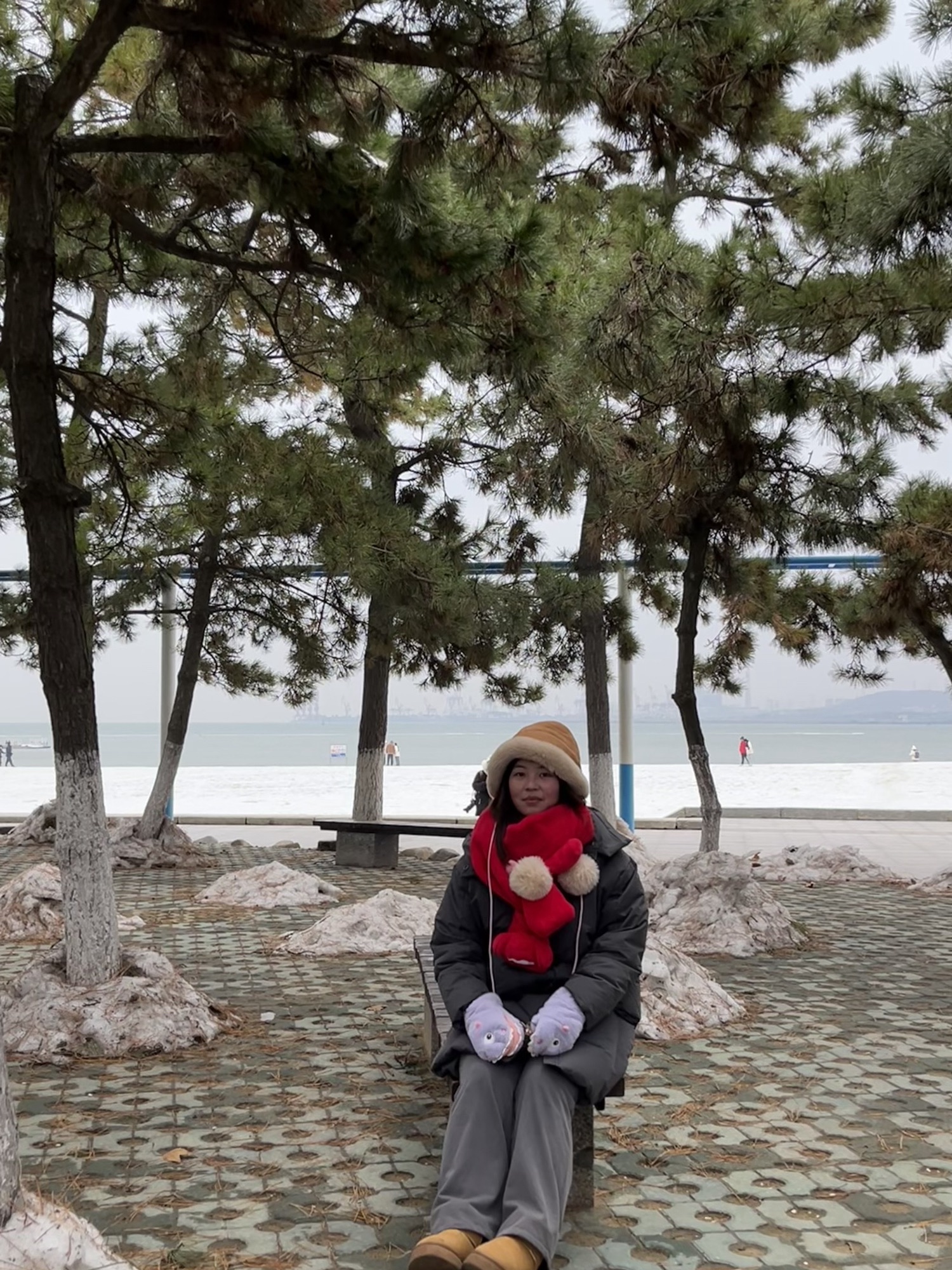 海上公园旅行图片 1