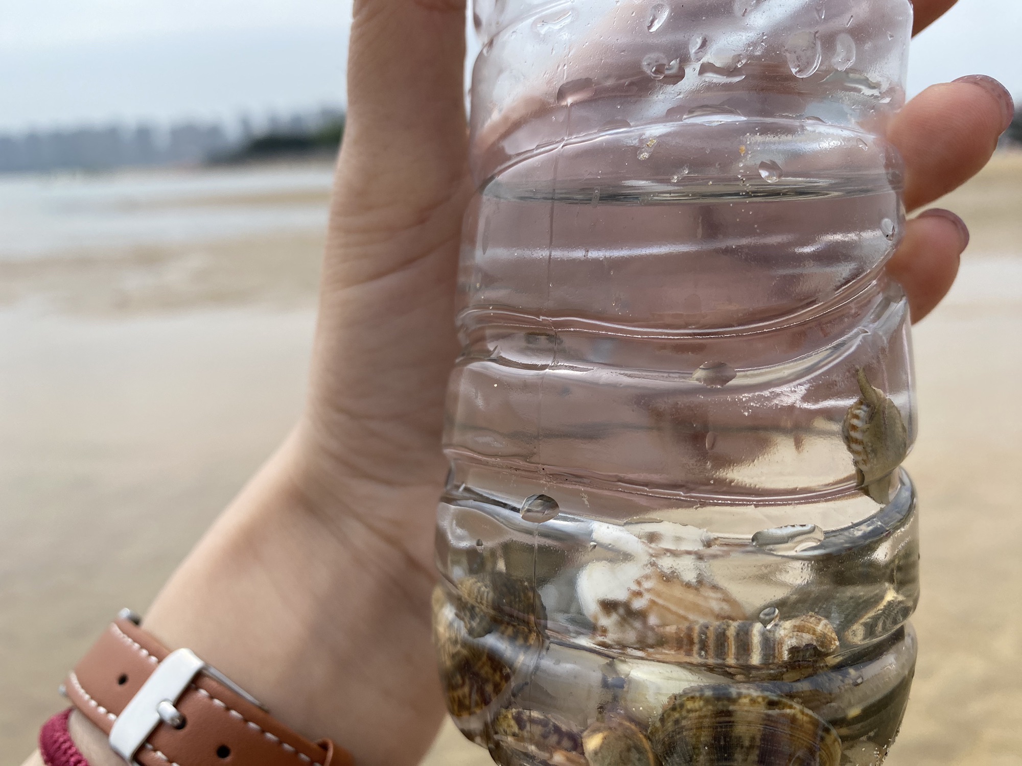 海上公园旅行图片 2