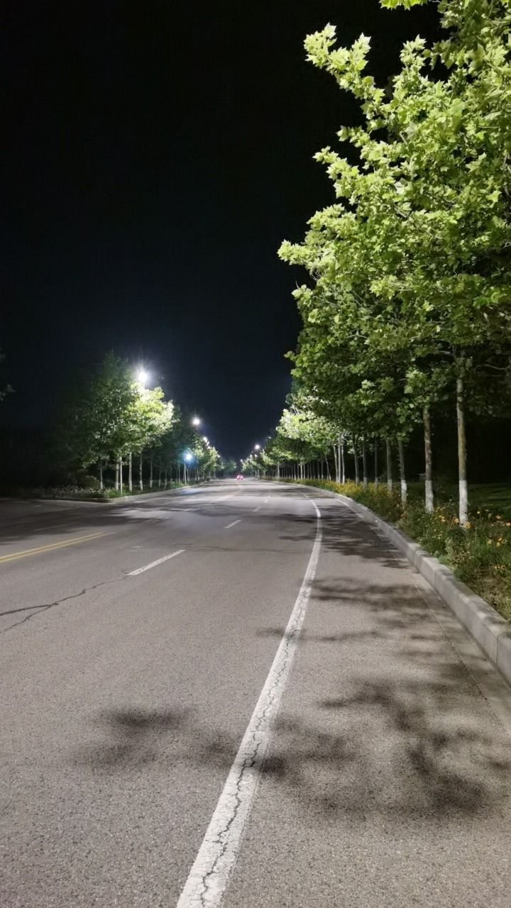 仙山公园旅行图片 3