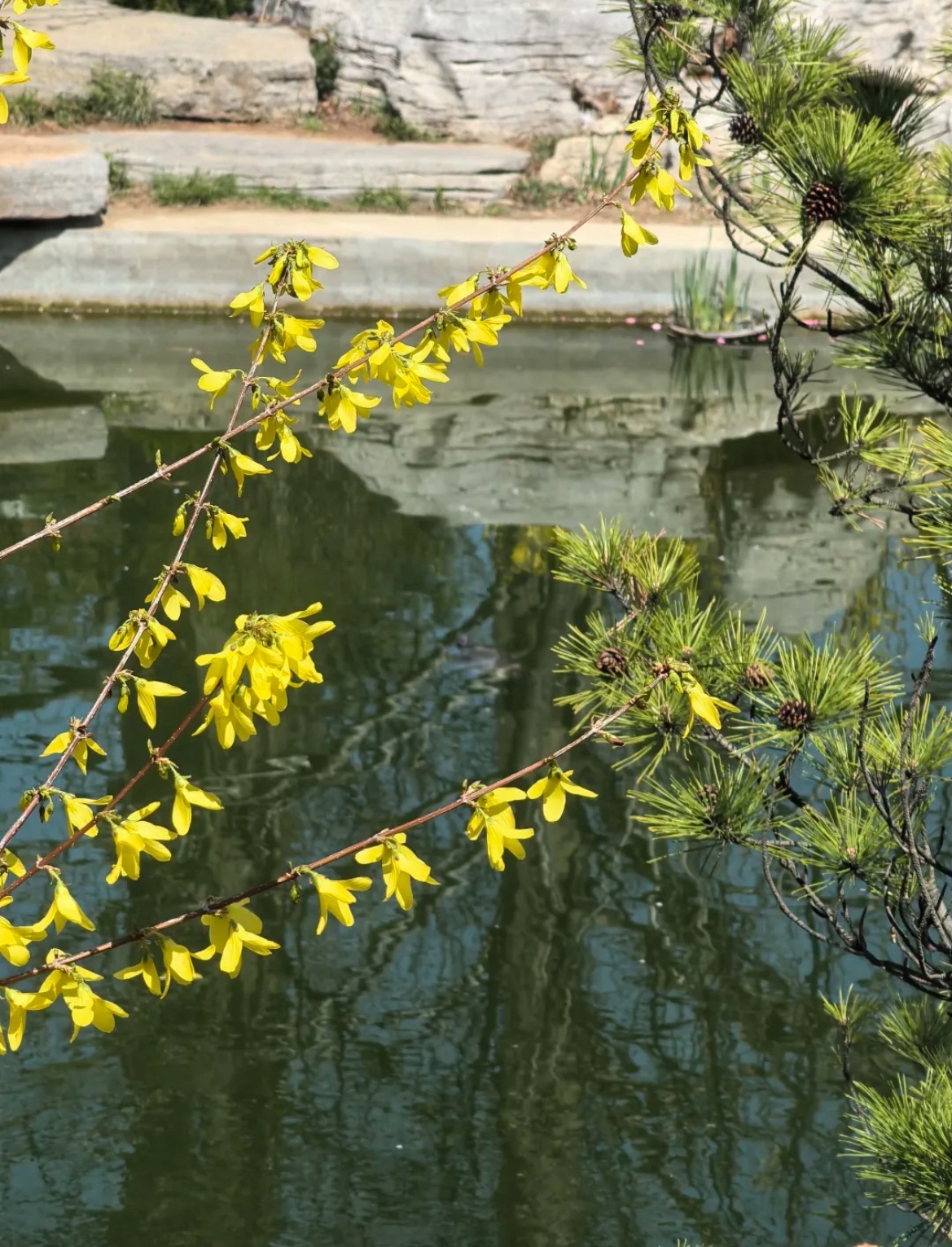 环翠楼公园旅行图片 3