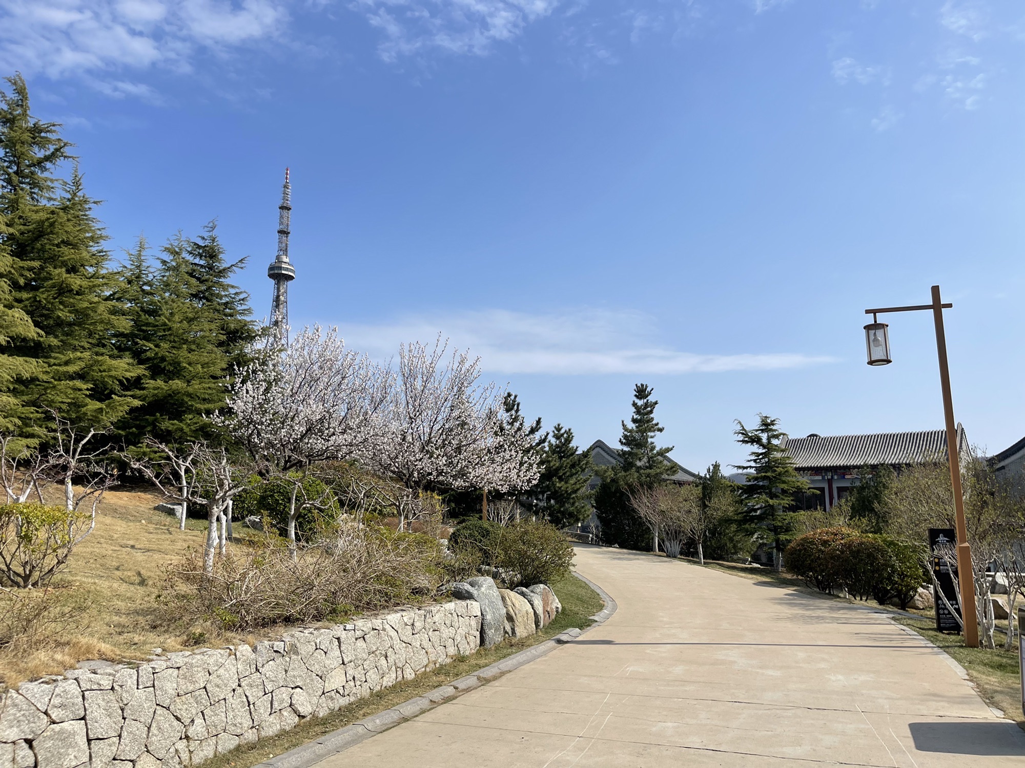 环翠楼公园旅行图片 1