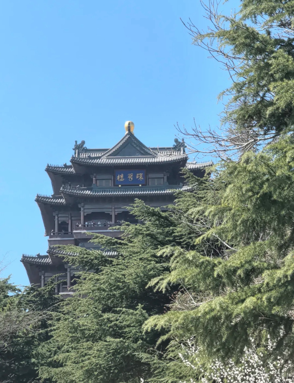 环翠楼公园旅行图片 1