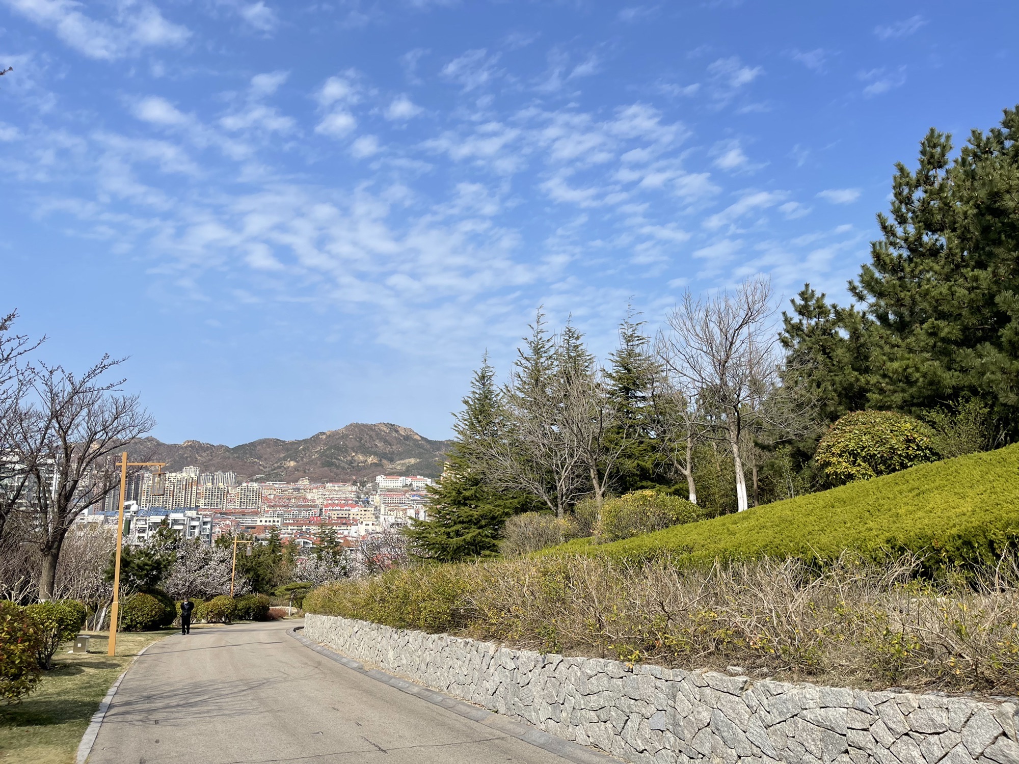 环翠楼公园旅行图片 3
