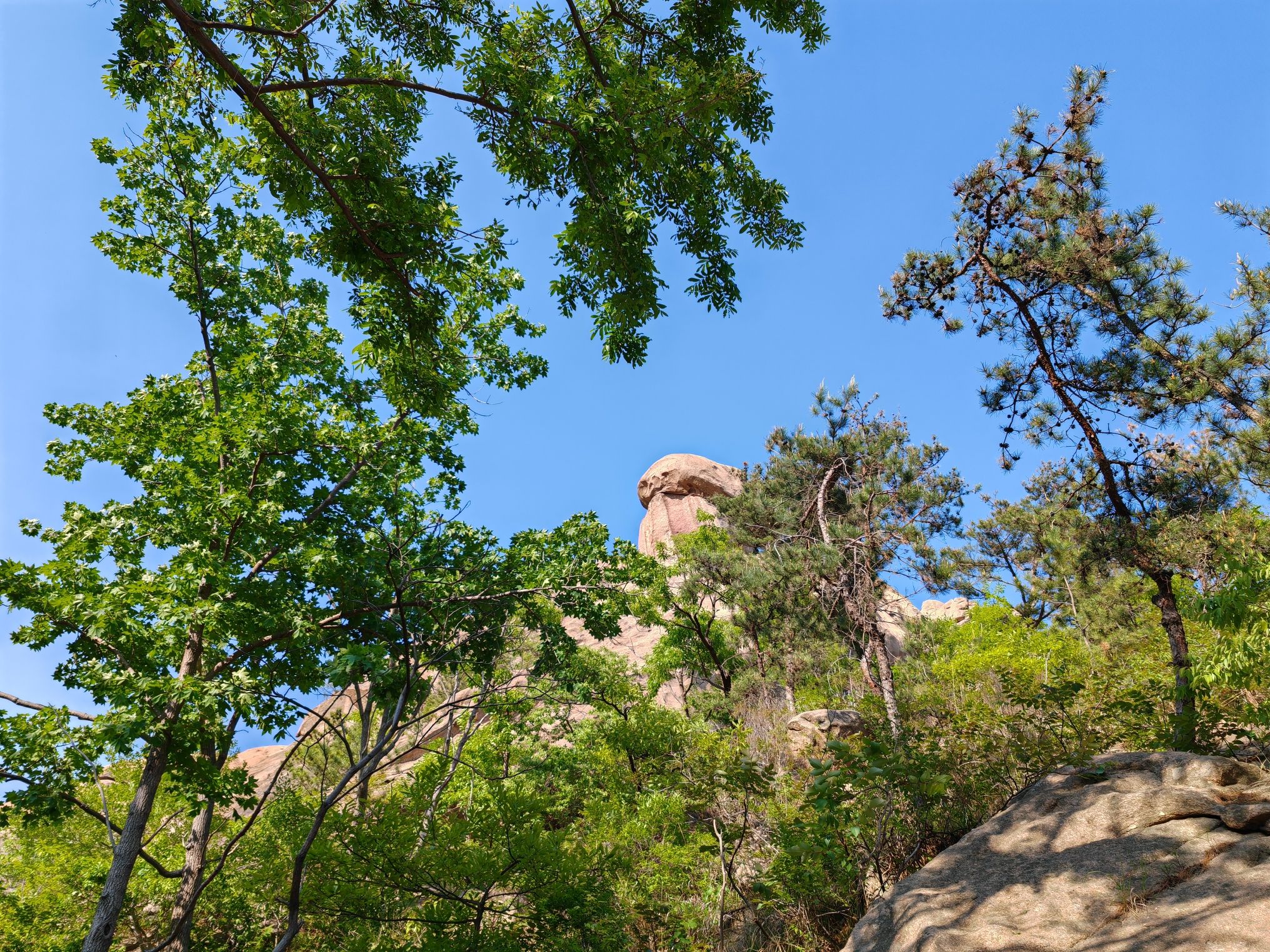 岠嵎山国家森林公园旅行图片 3
