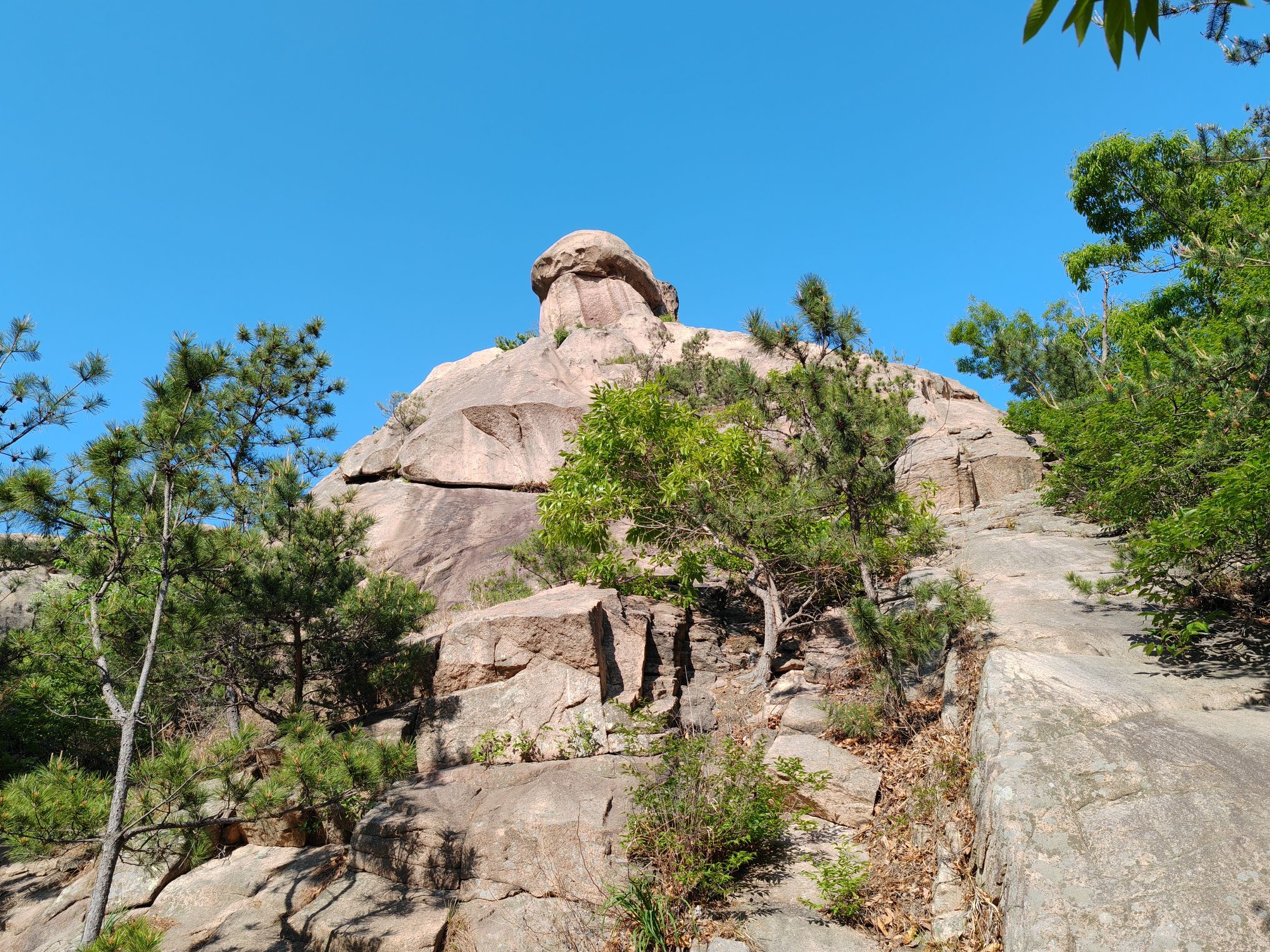岠嵎山国家森林公园旅行图片 2