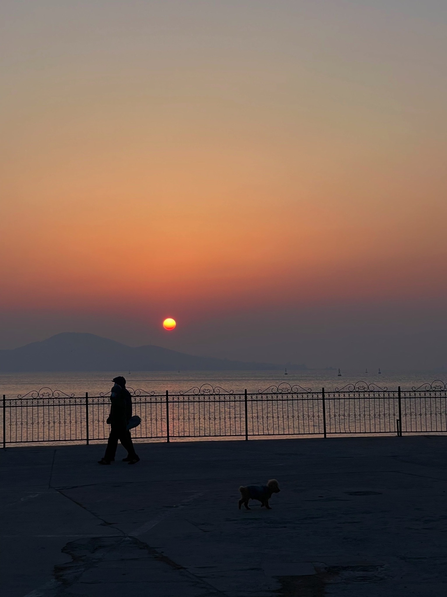 威海港公园旅行图片 3
