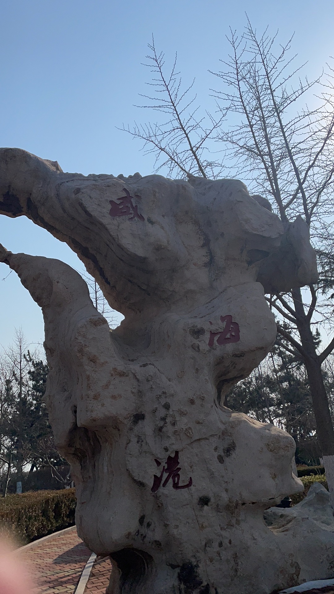 威海港公园旅行图片 1