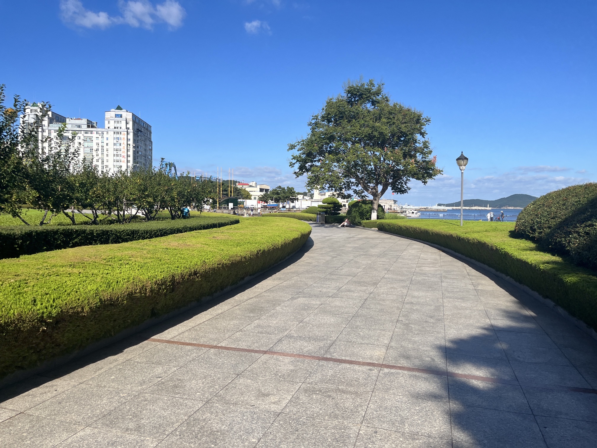 威海港公园旅行图片 3