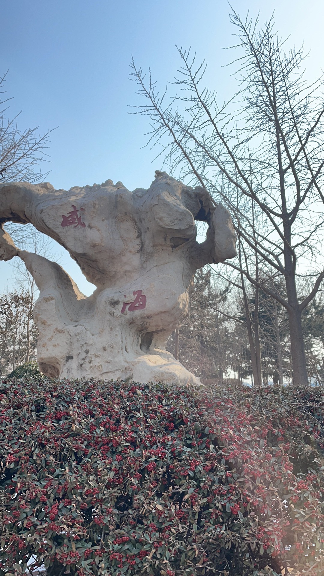 威海港公园旅行图片 2