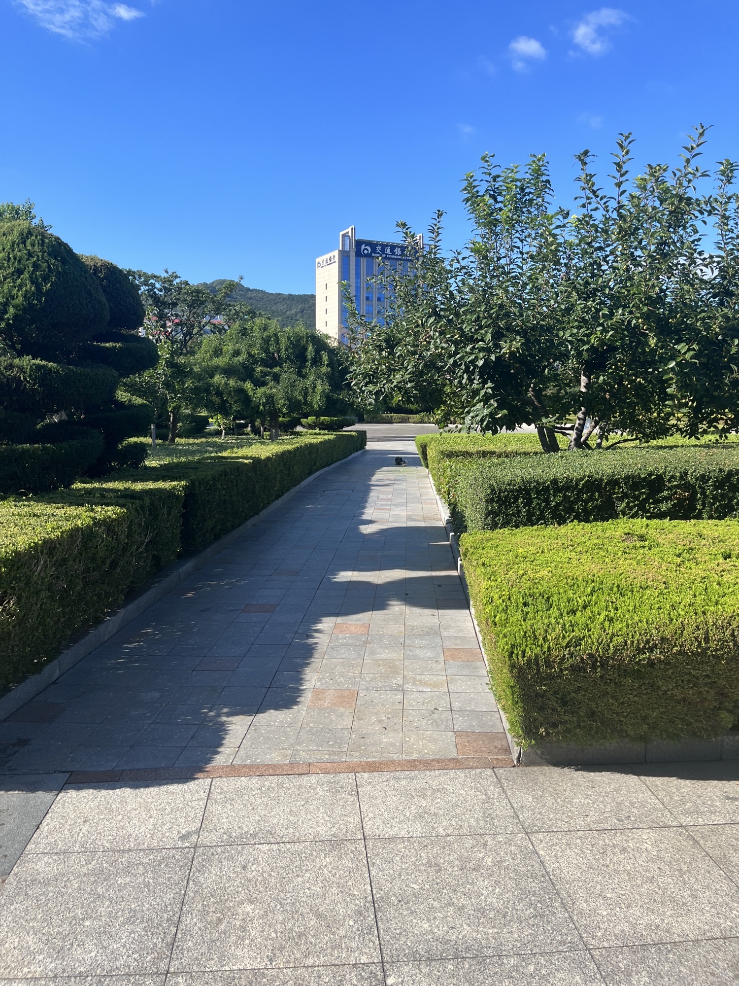 威海港公园旅行图片 2
