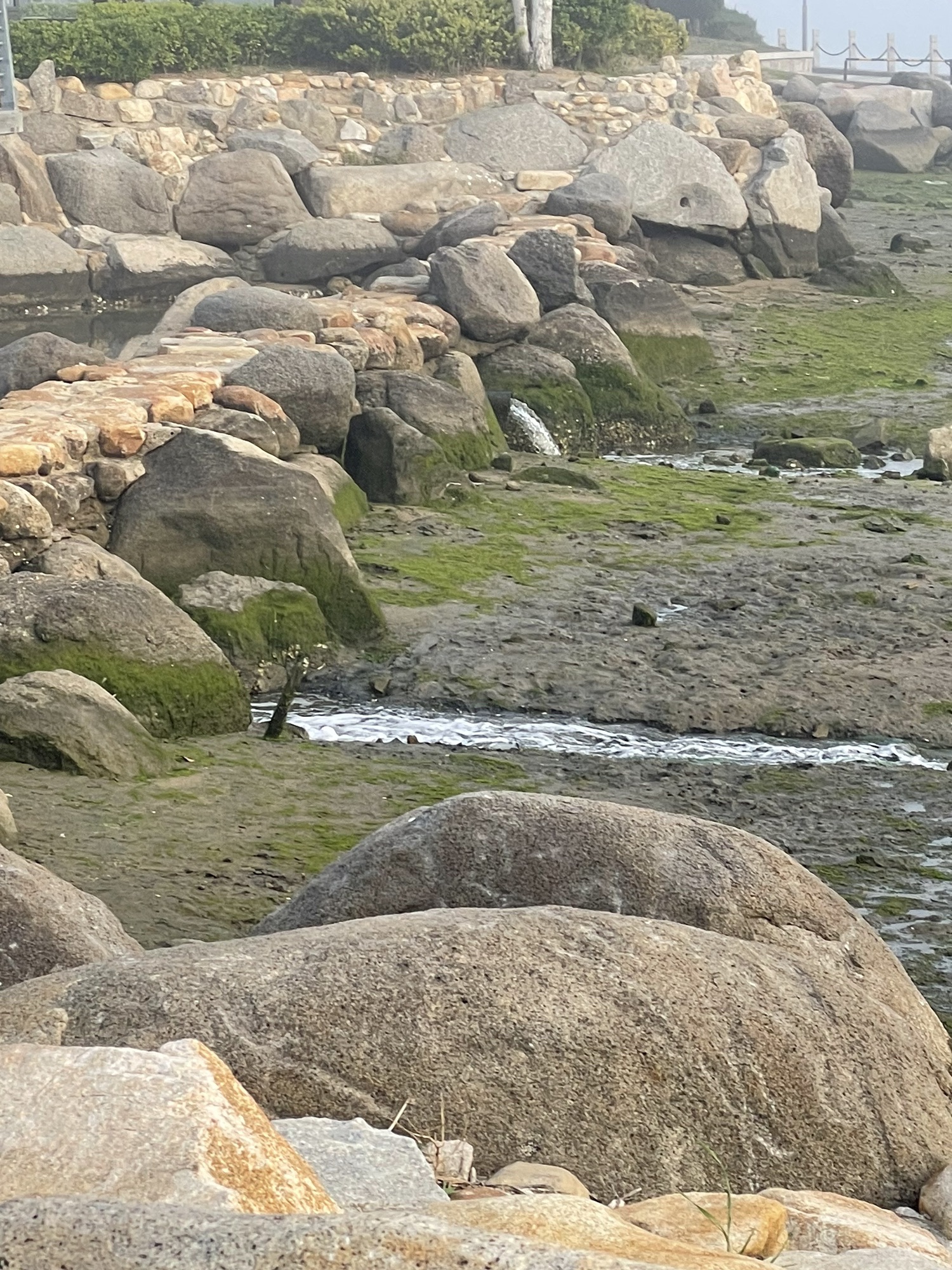 水上公园旅行图片 1