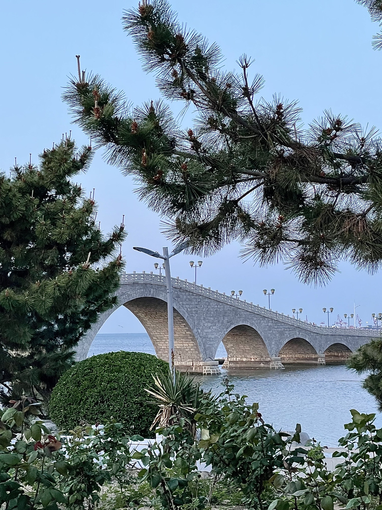 水上公园旅行图片 2