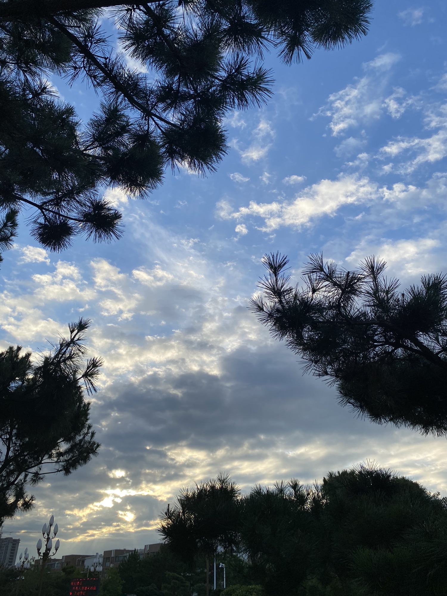 南海公园旅行图片 2