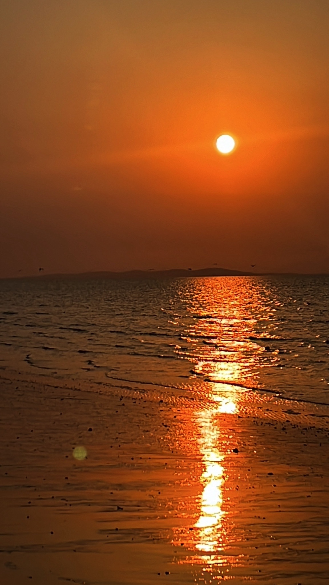 南海公园旅行图片 2