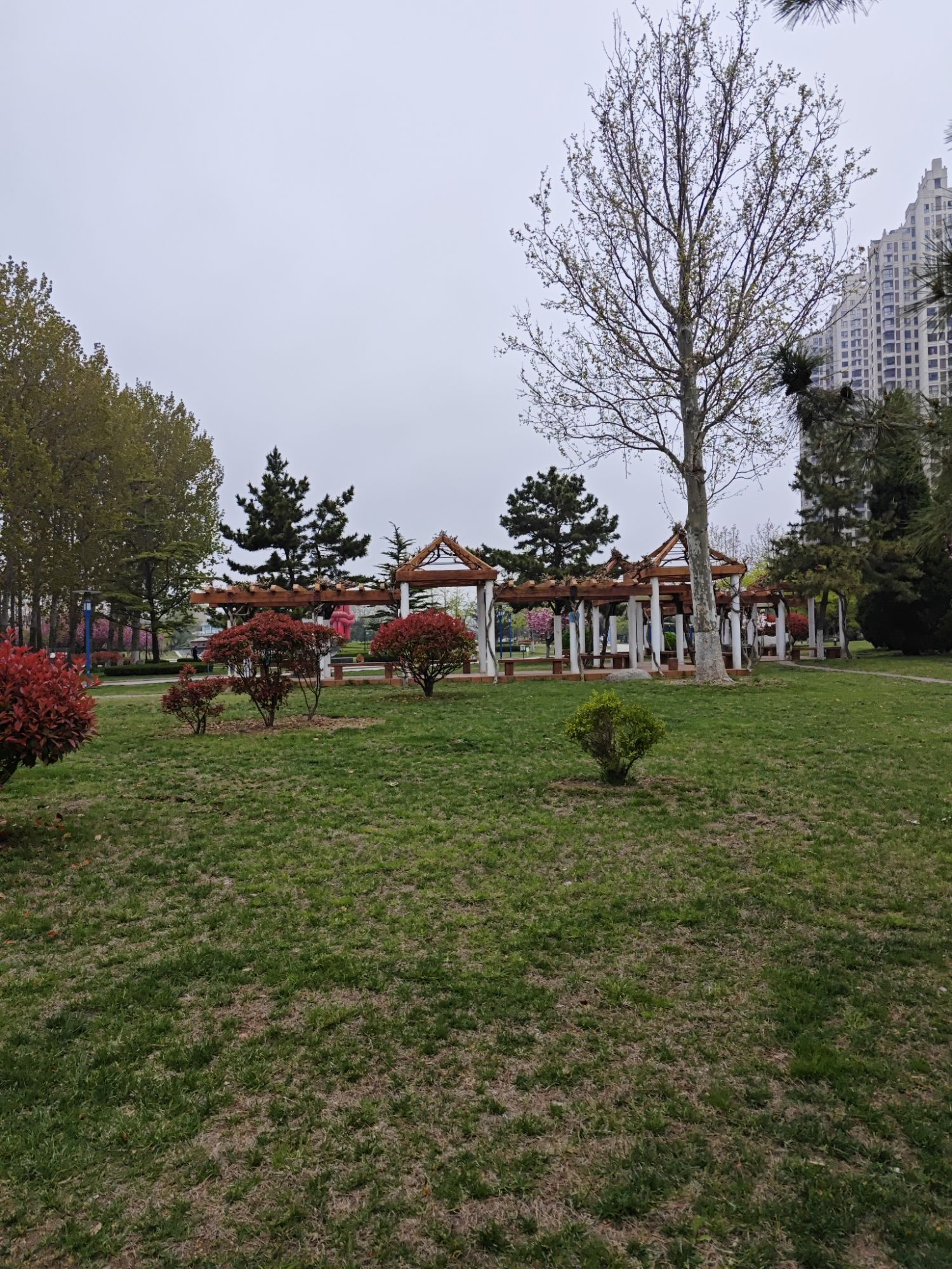 十里河公园旅行图片 2
