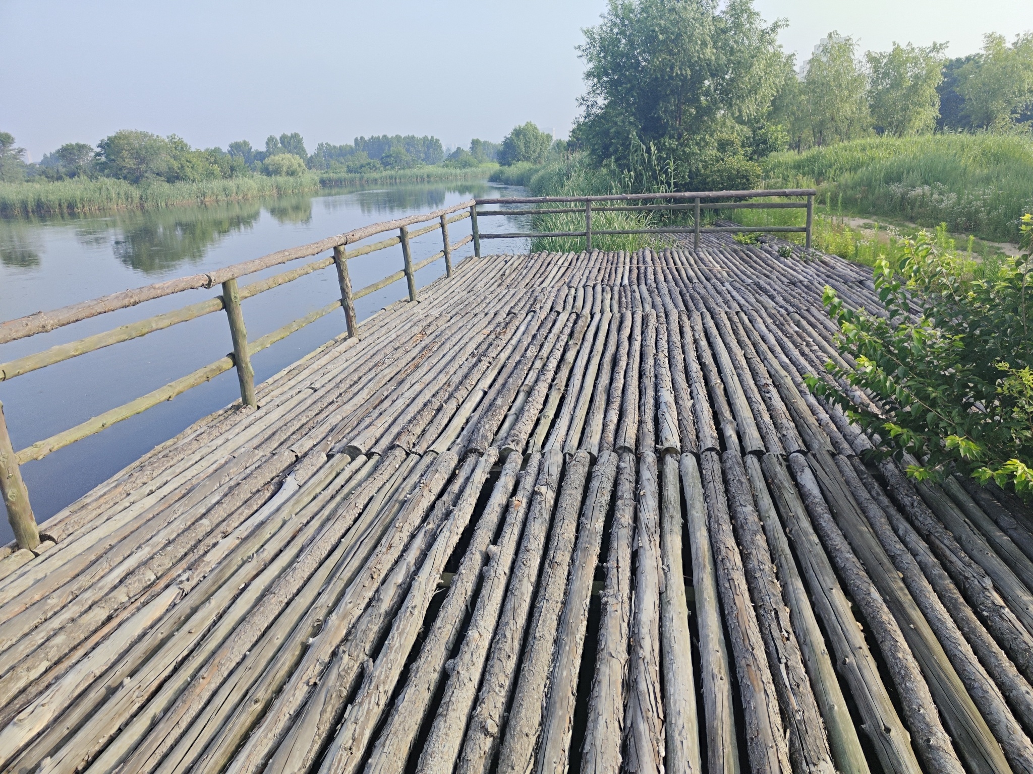桑沟湾湿地公园旅行图片 1