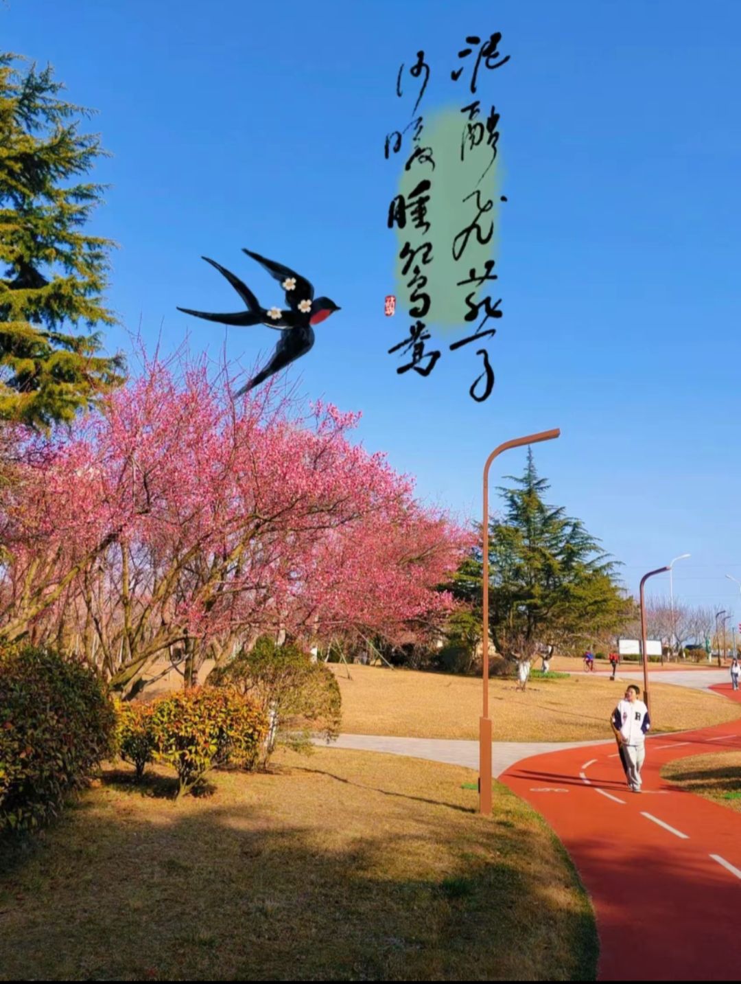 桑干河植物园旅行图片 1