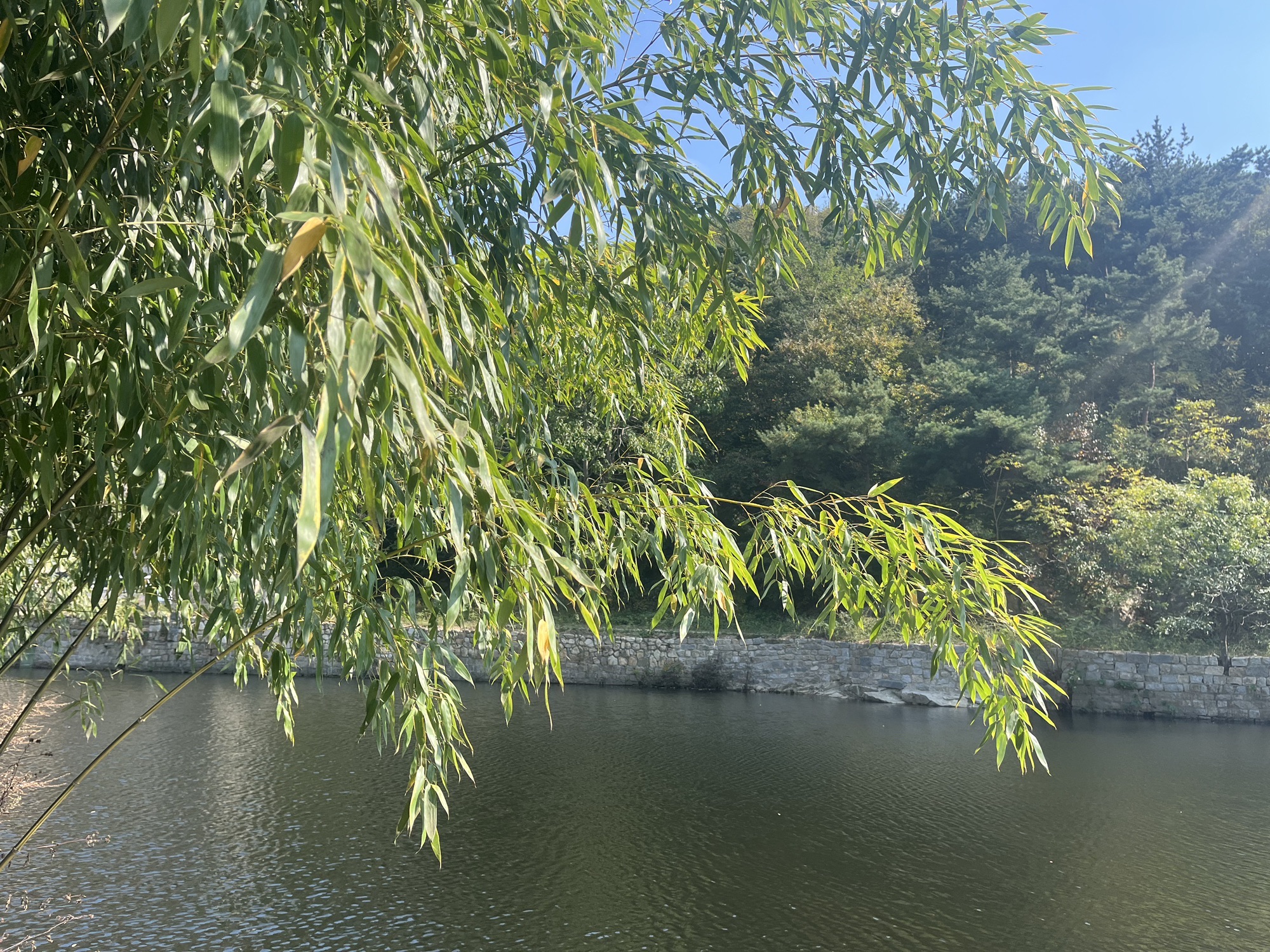 昆嵛山风景区旅行图片 3