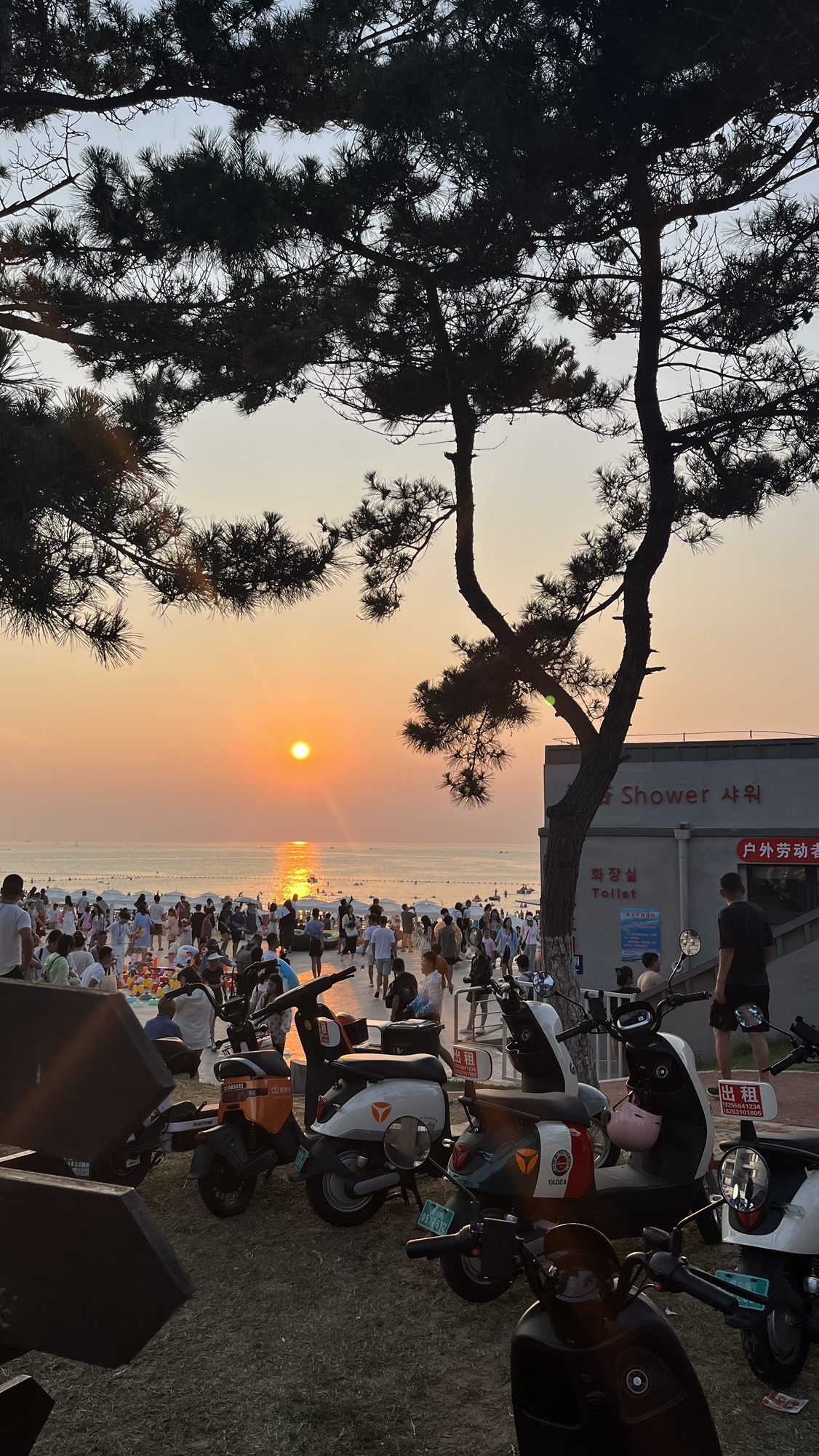 威海国际海水浴场旅行图片 1