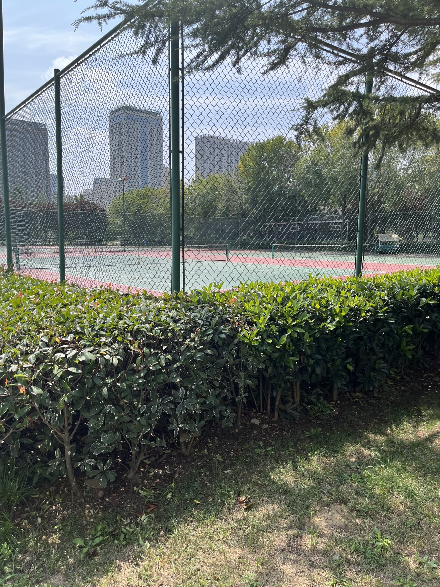 乐天休闲体育公园旅行图片 2