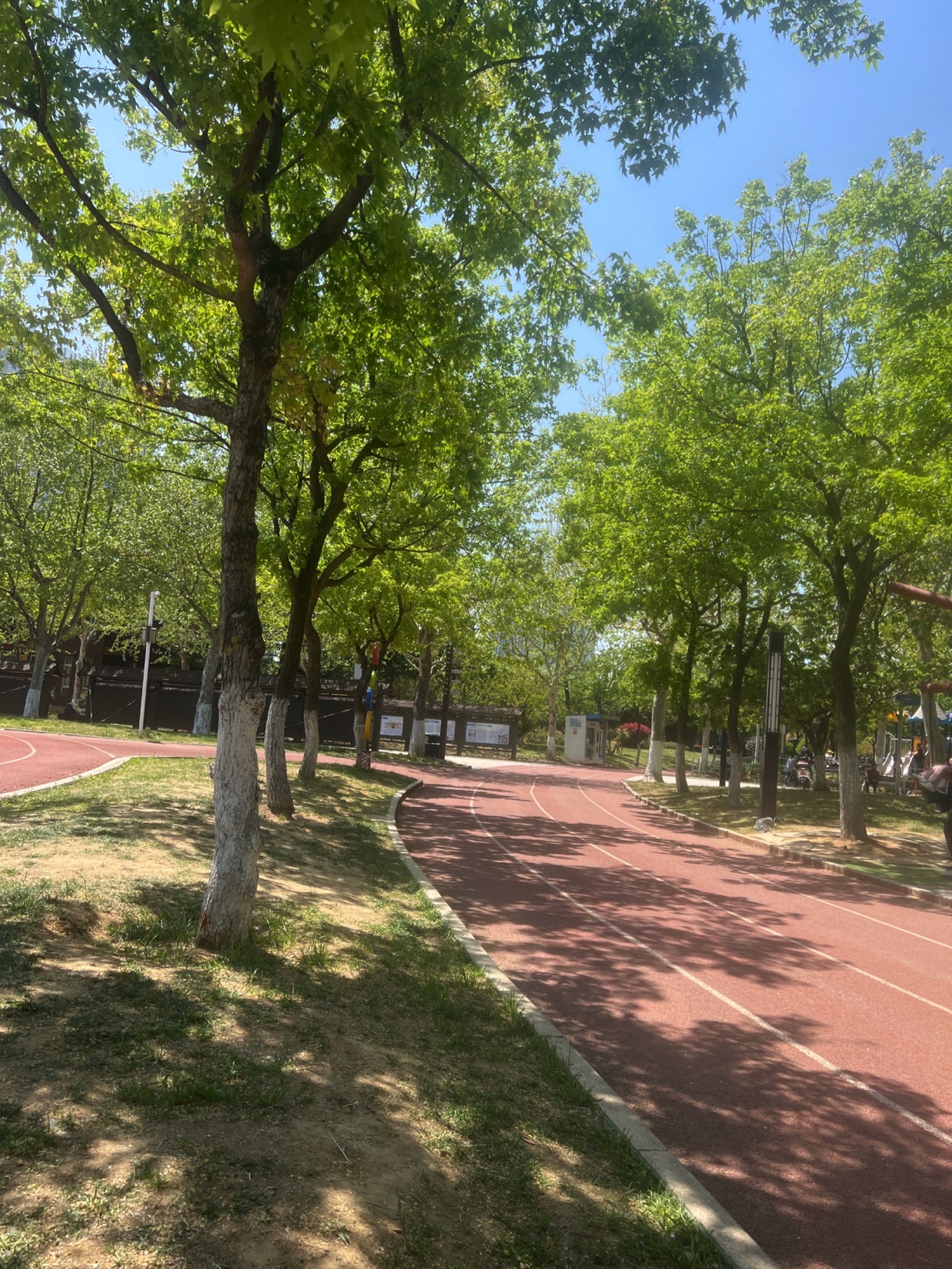 乐天休闲体育公园旅行图片 1