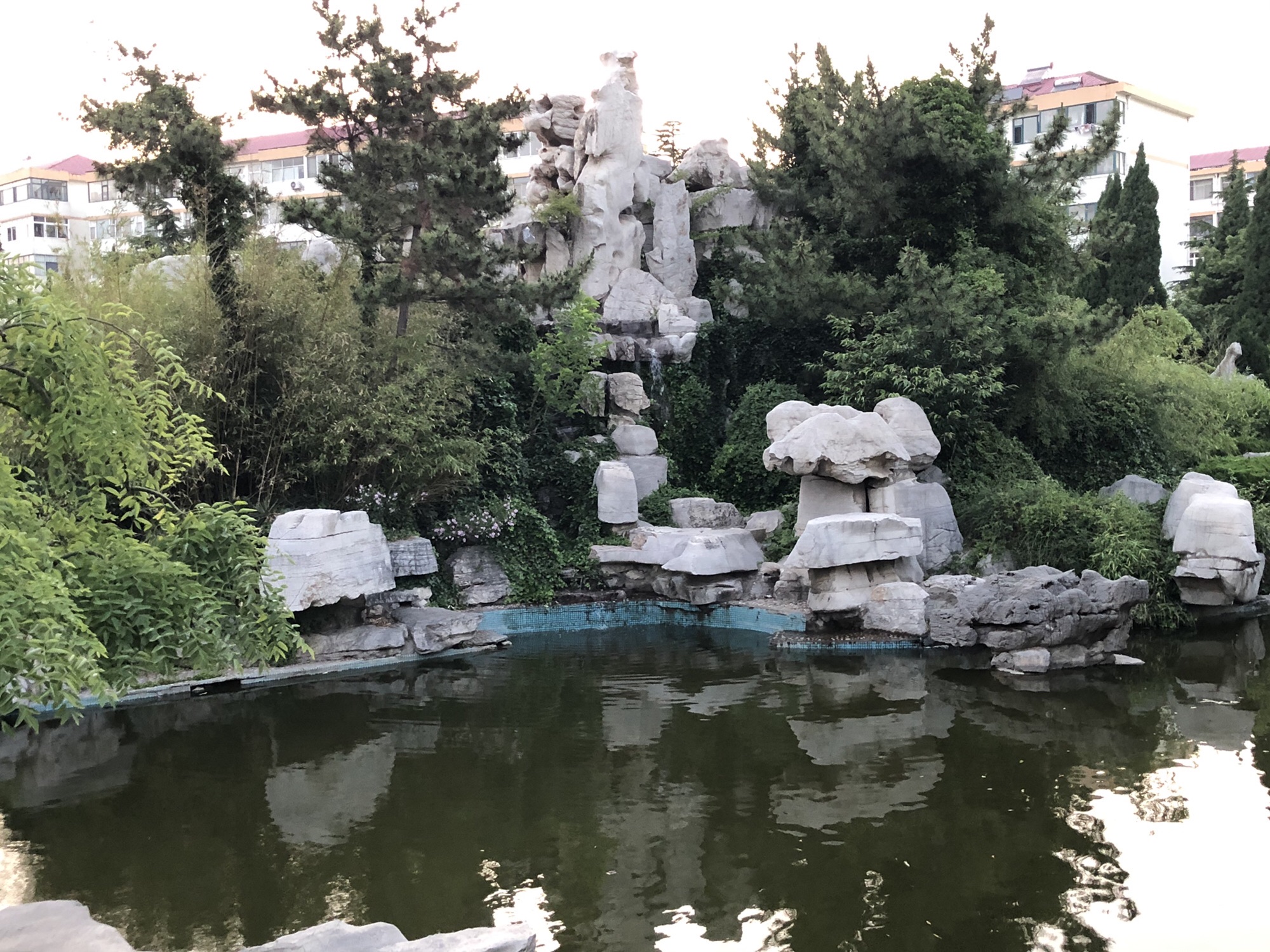奇石苑旅行图片 1