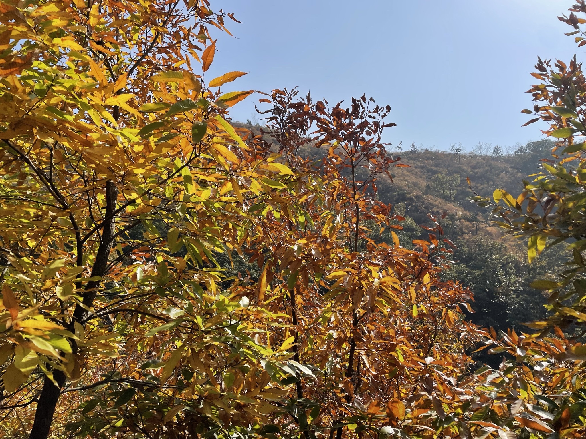 塔山公园旅行图片 2