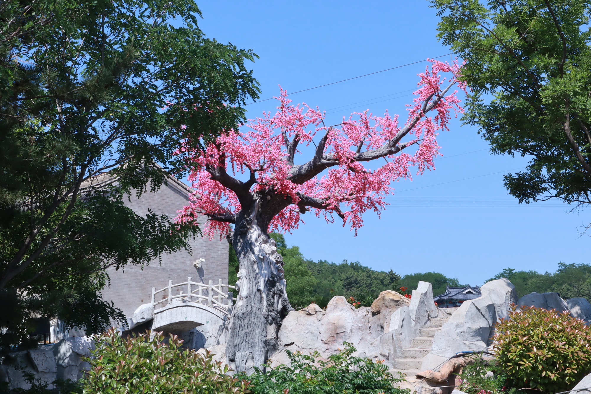 威海华夏城旅游风景区旅行图片 1