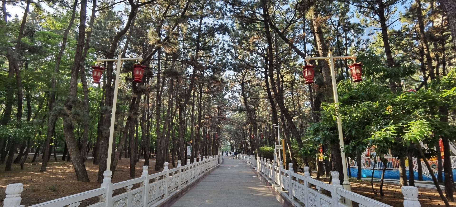 林海公园旅行图片 3