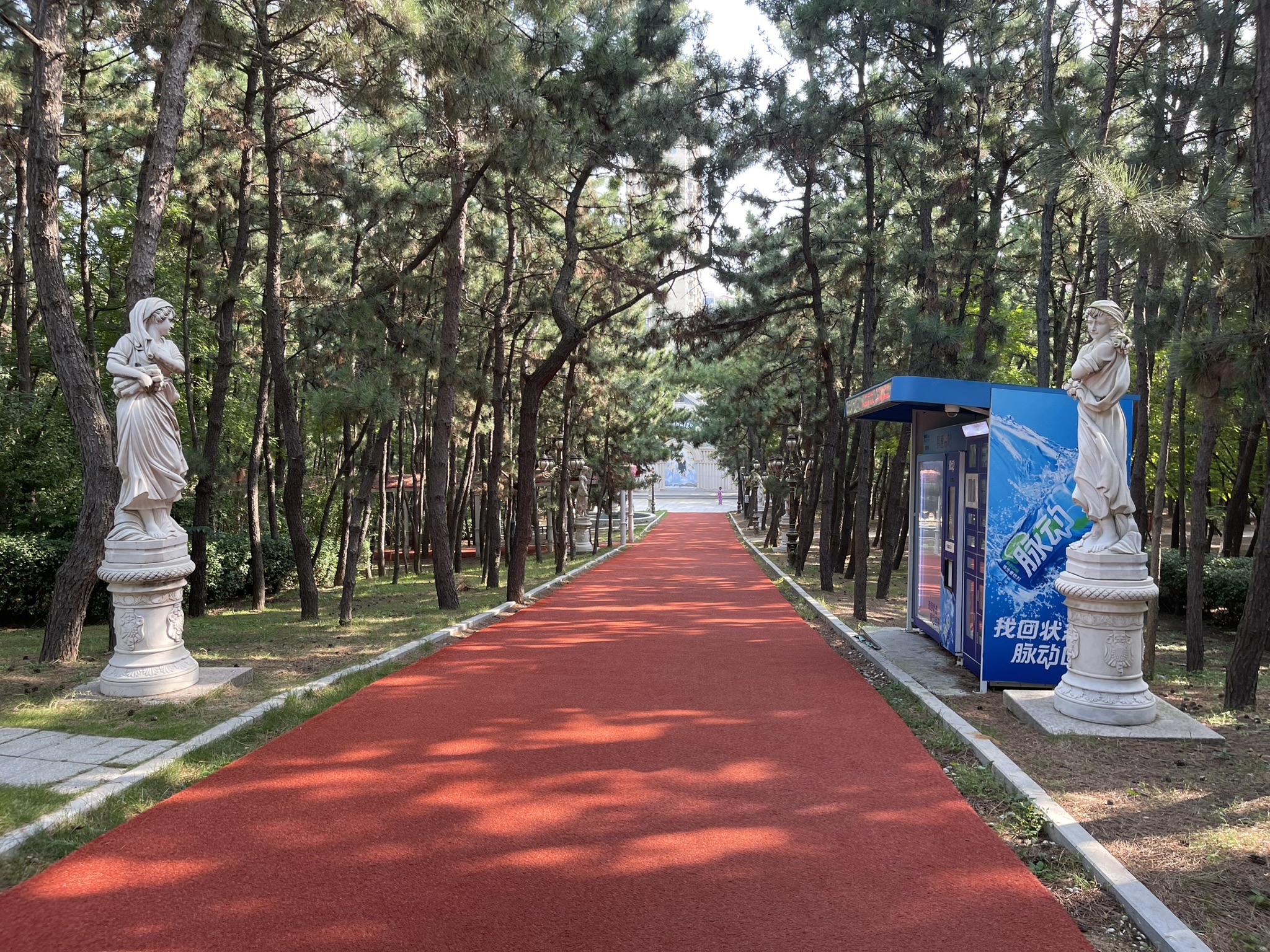 林海公园旅行图片 2