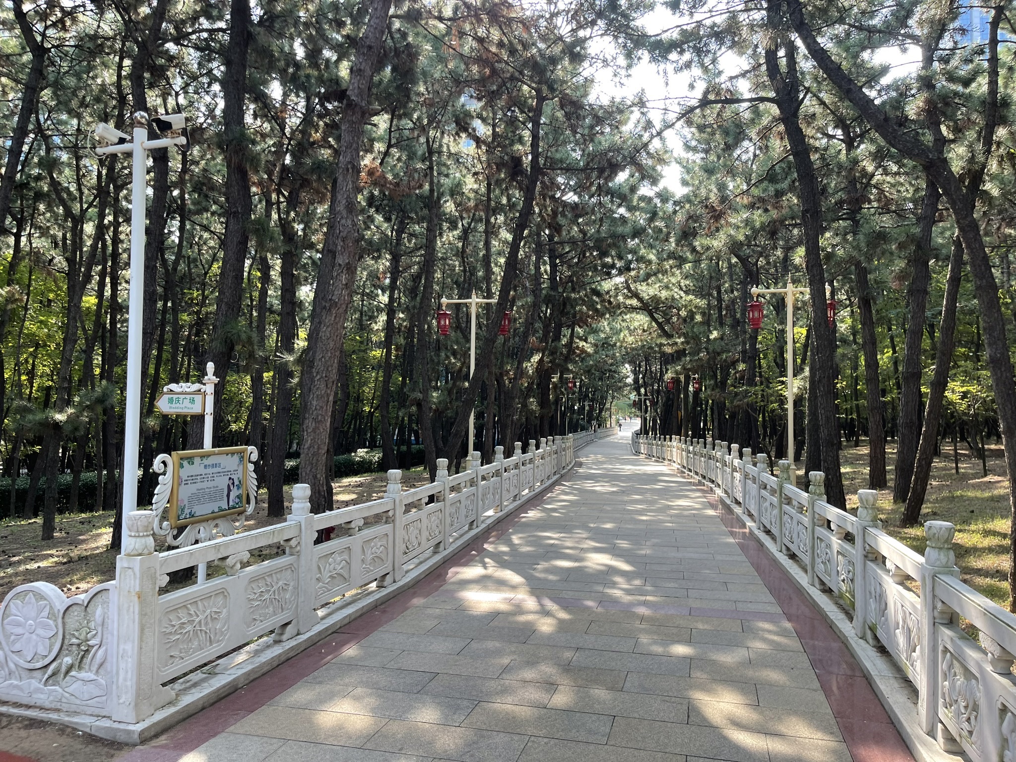 林海公园旅行图片 3