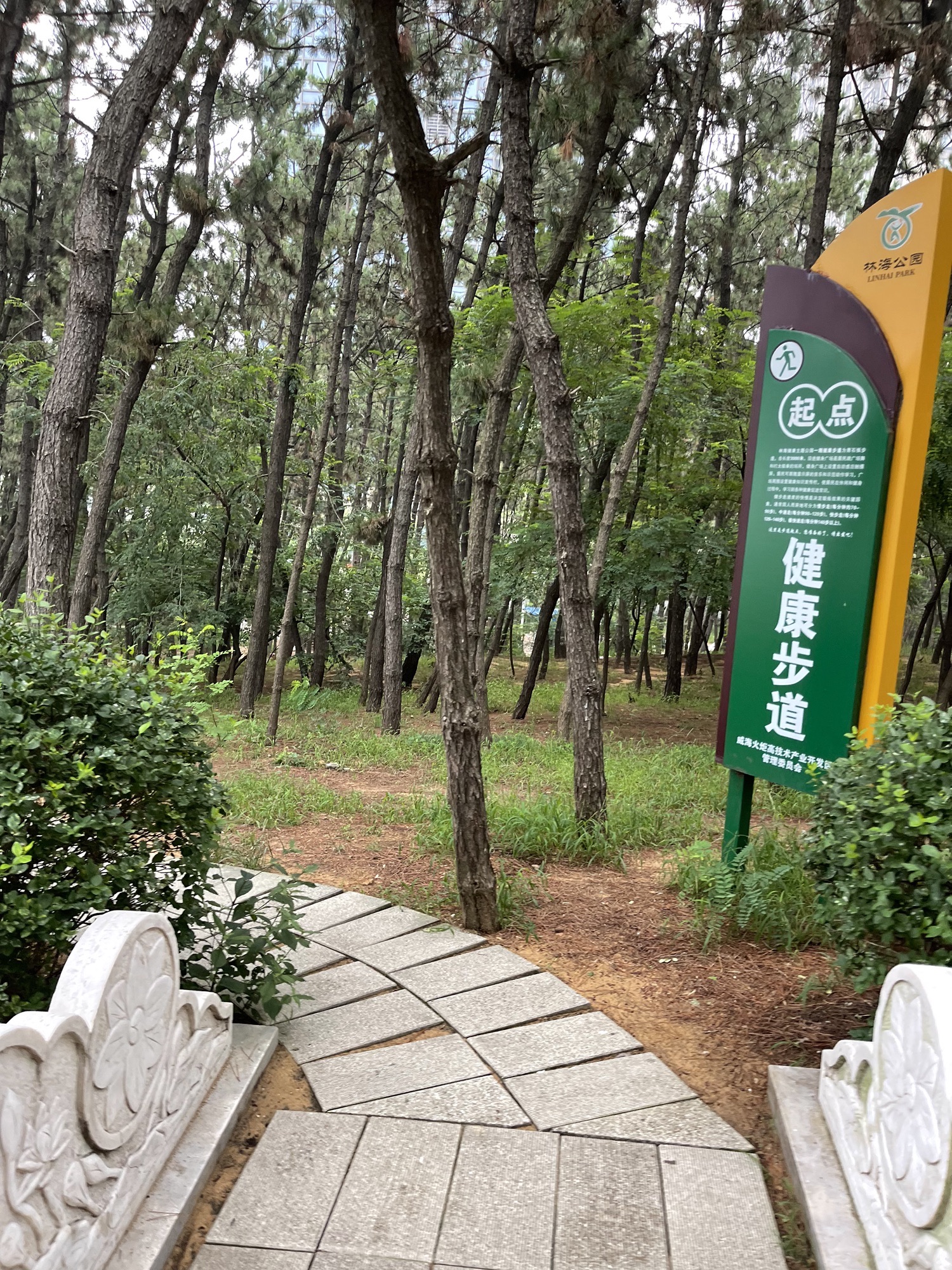 林海公园旅行图片 2