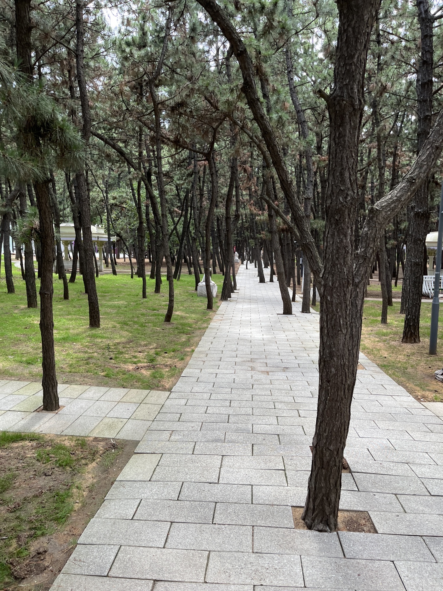 林海公园旅行图片 3