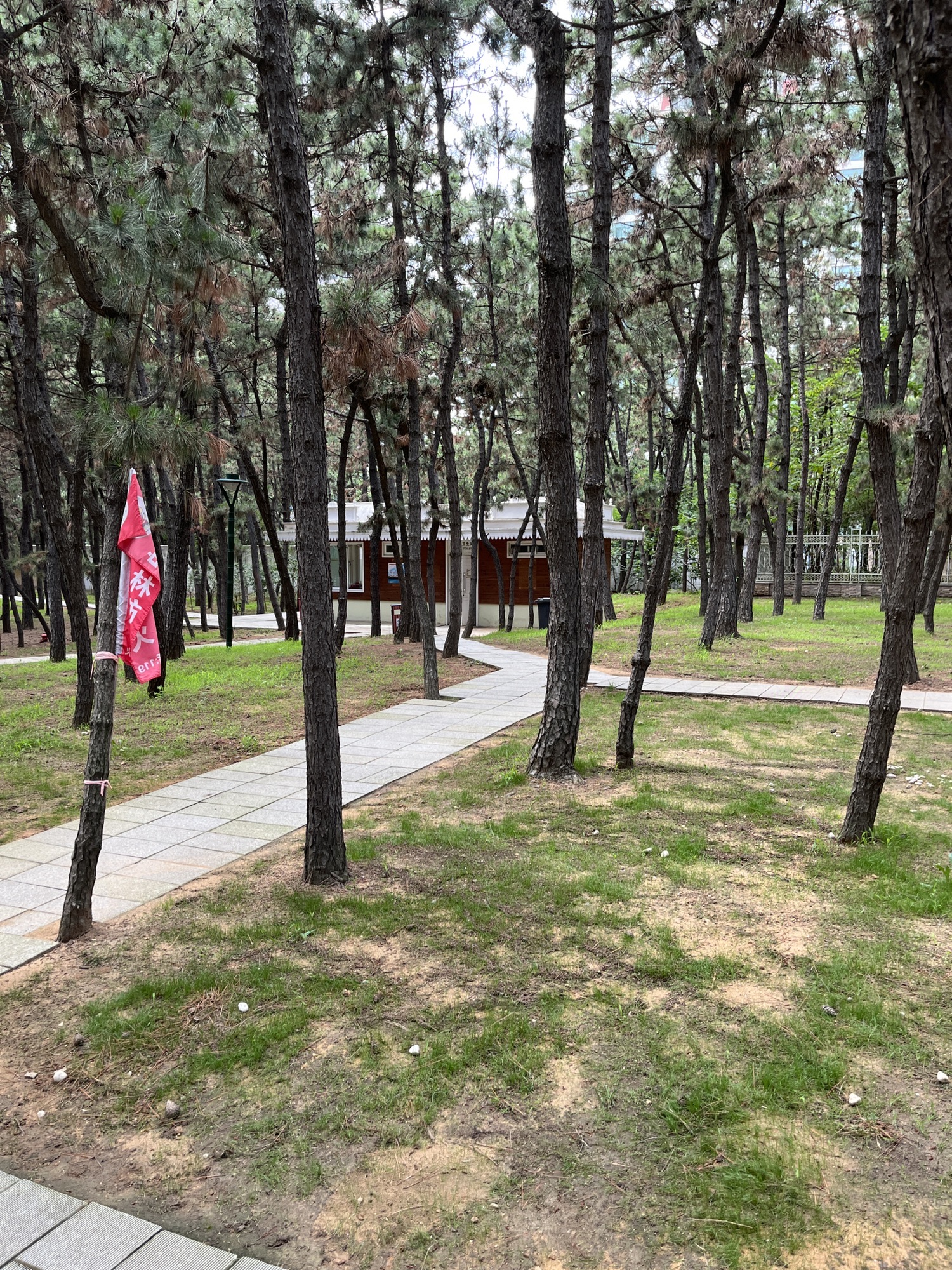 林海公园旅行图片 2