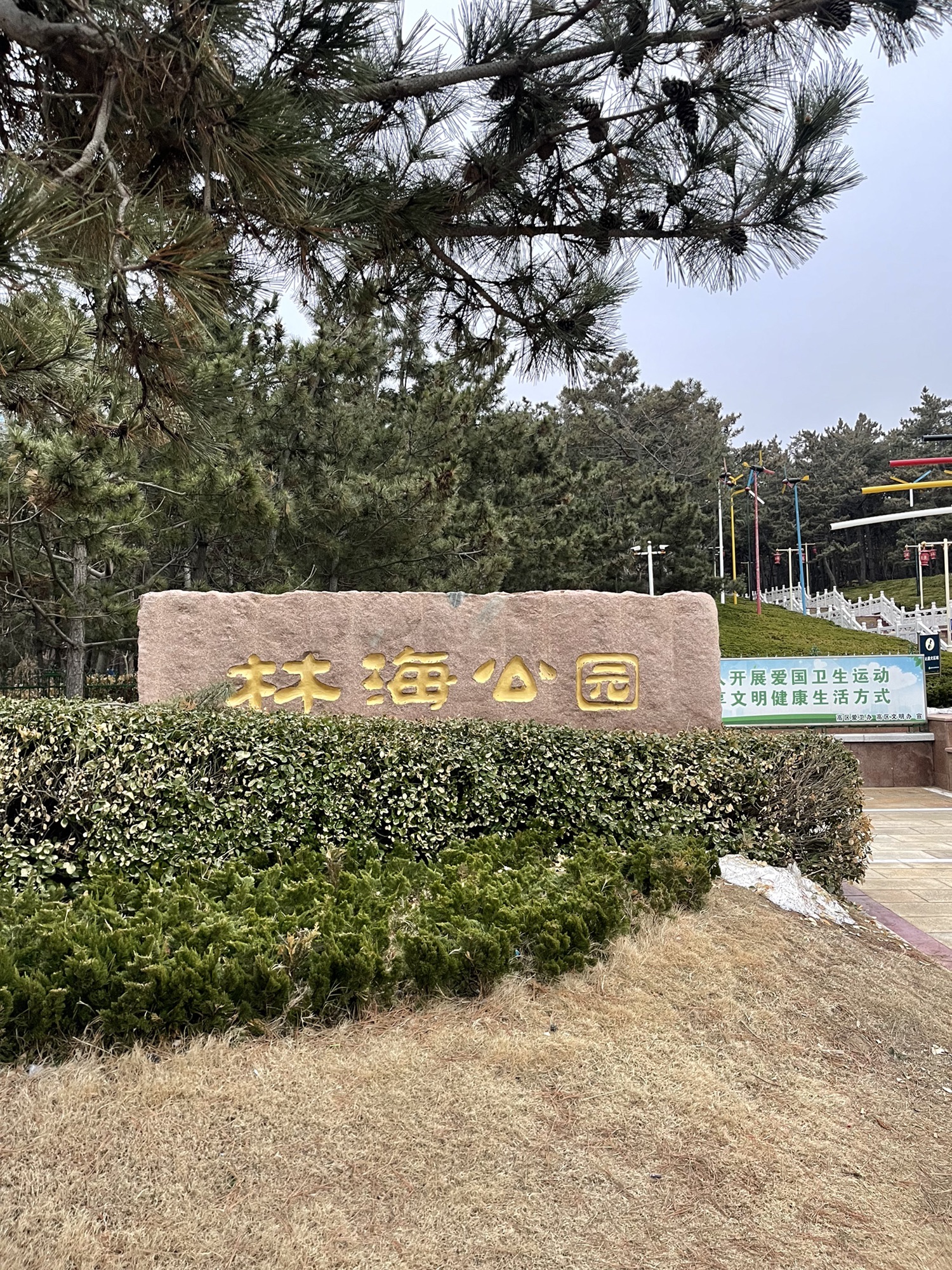 林海公园旅行图片 1