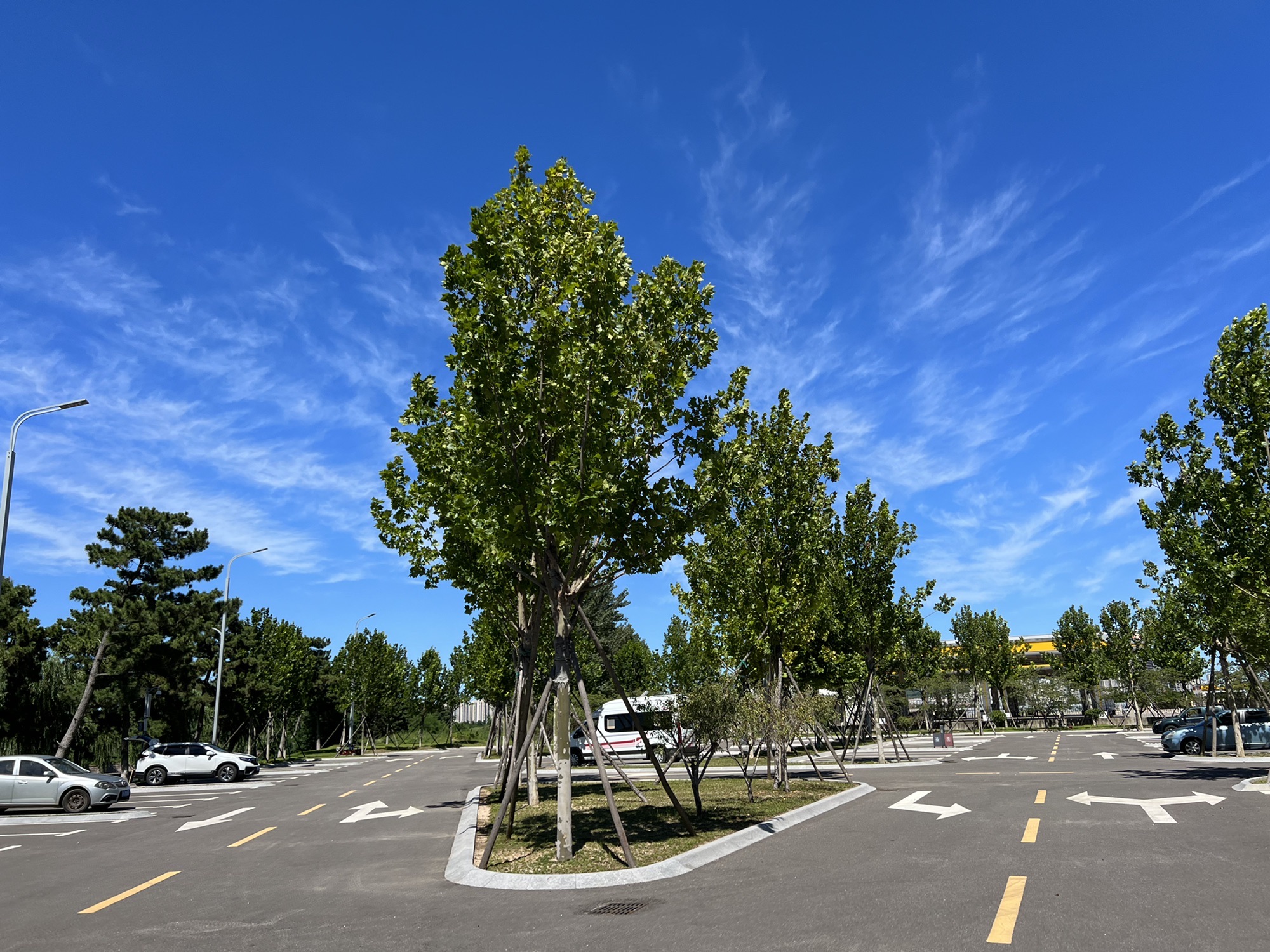 凤凰湖公园旅行图片 3