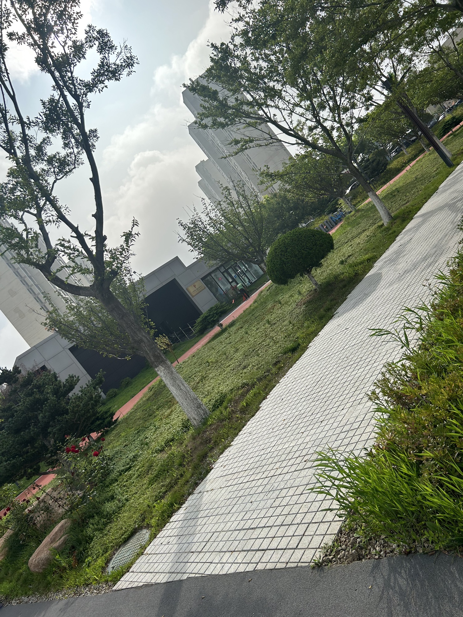 凤凰湖公园旅行图片 1
