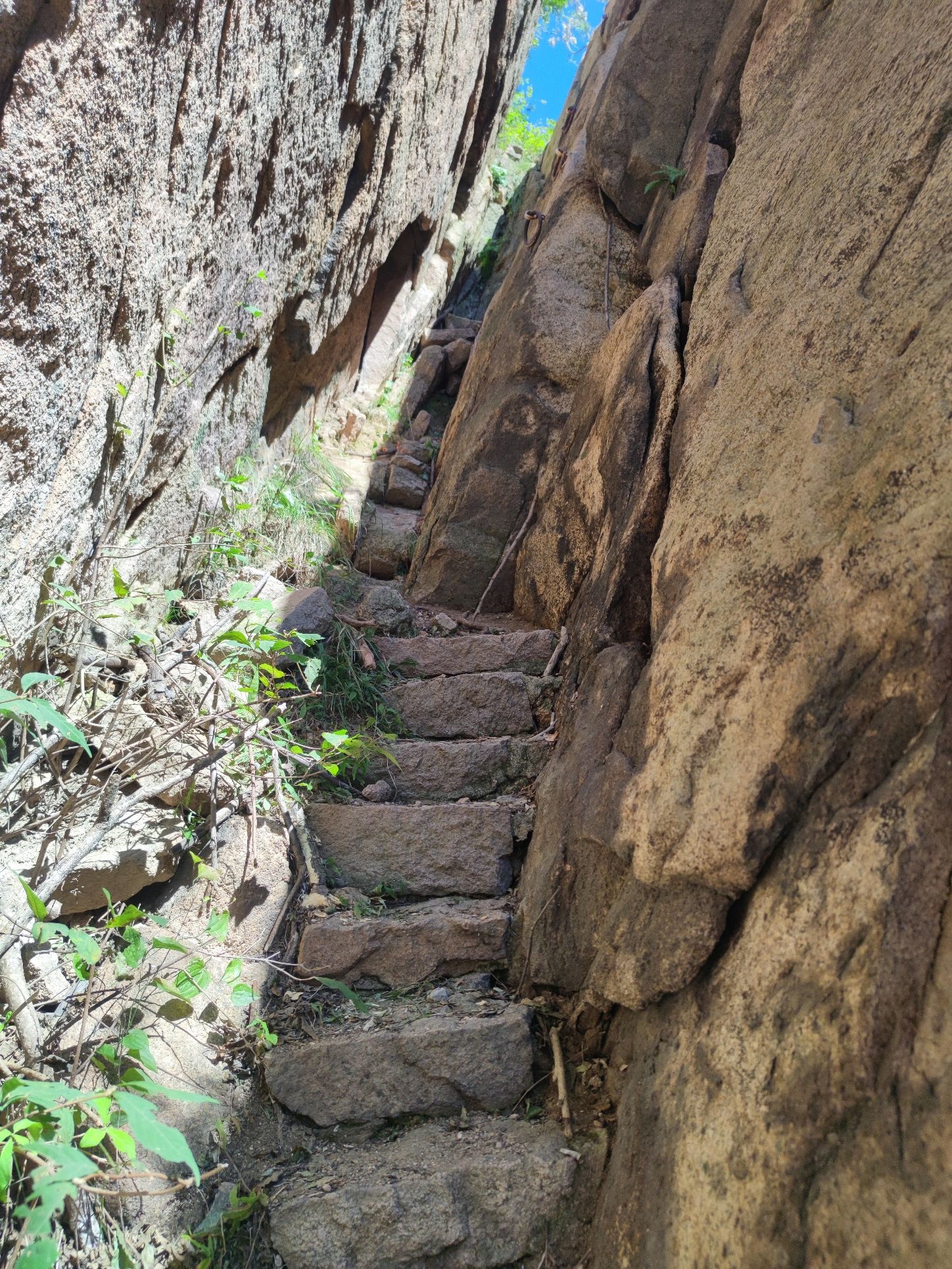 岠嵎山国家森林公园旅行图片 3