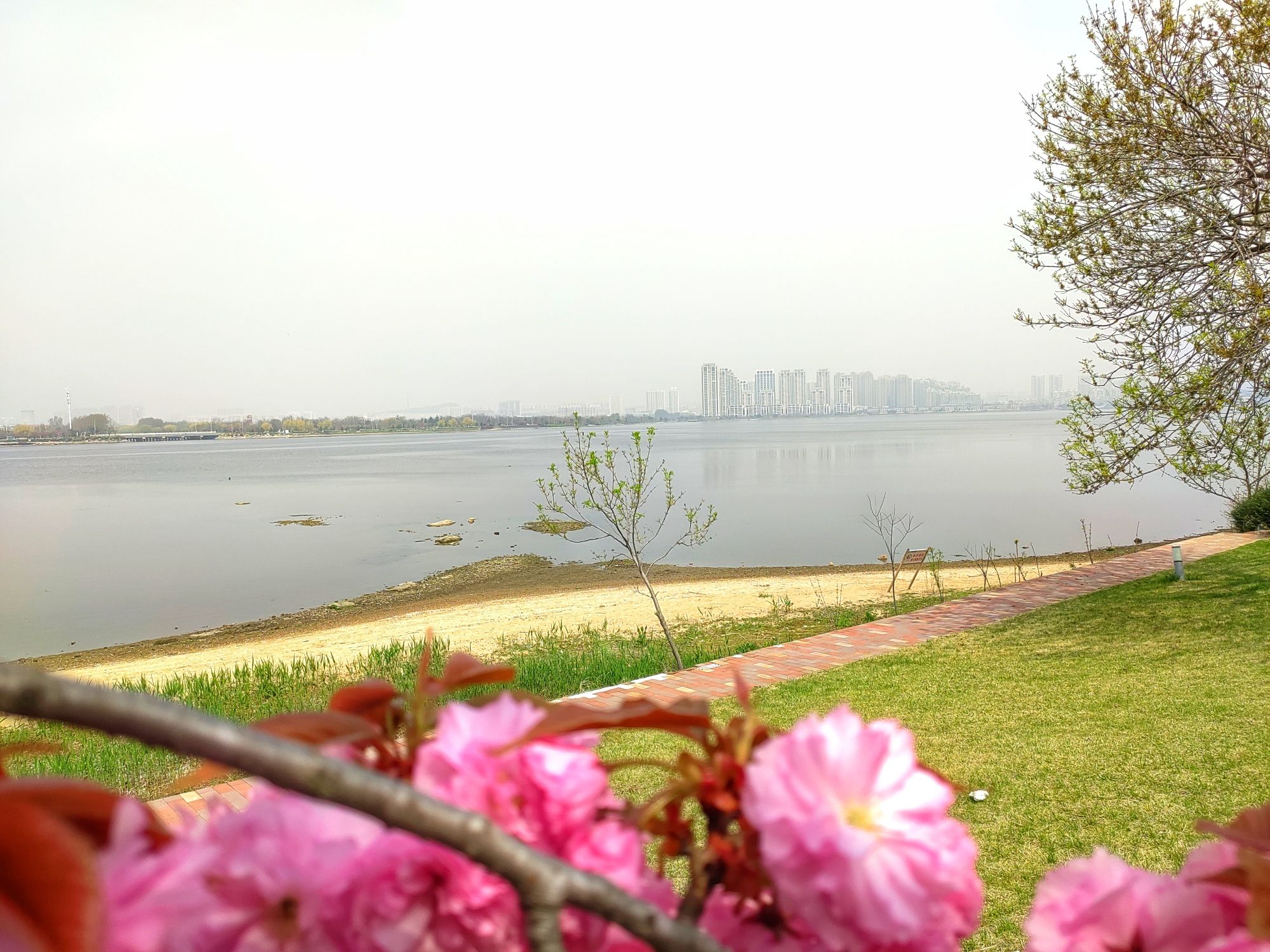 樱花湖旅行图片 2