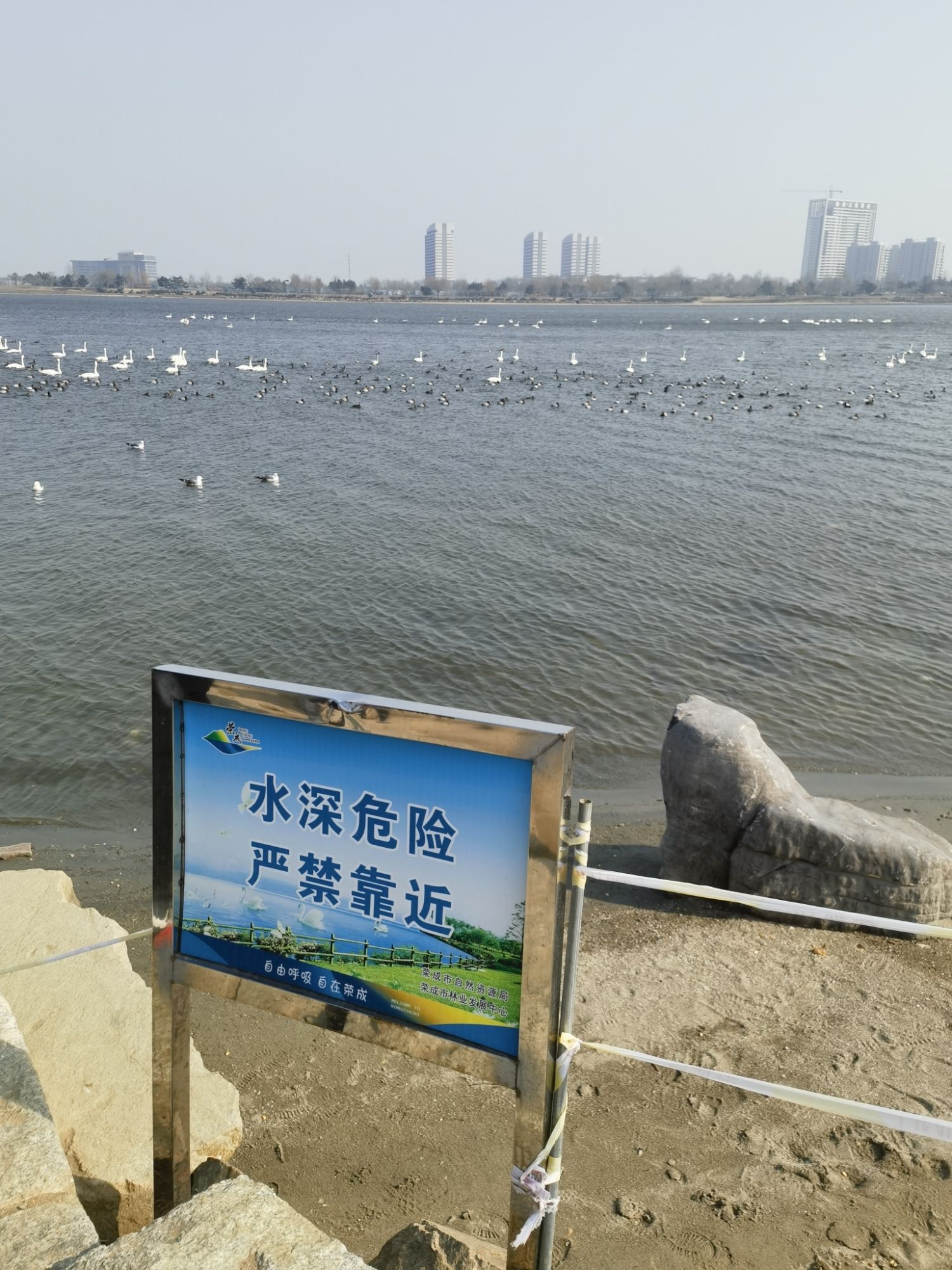 樱花湖旅行图片 1