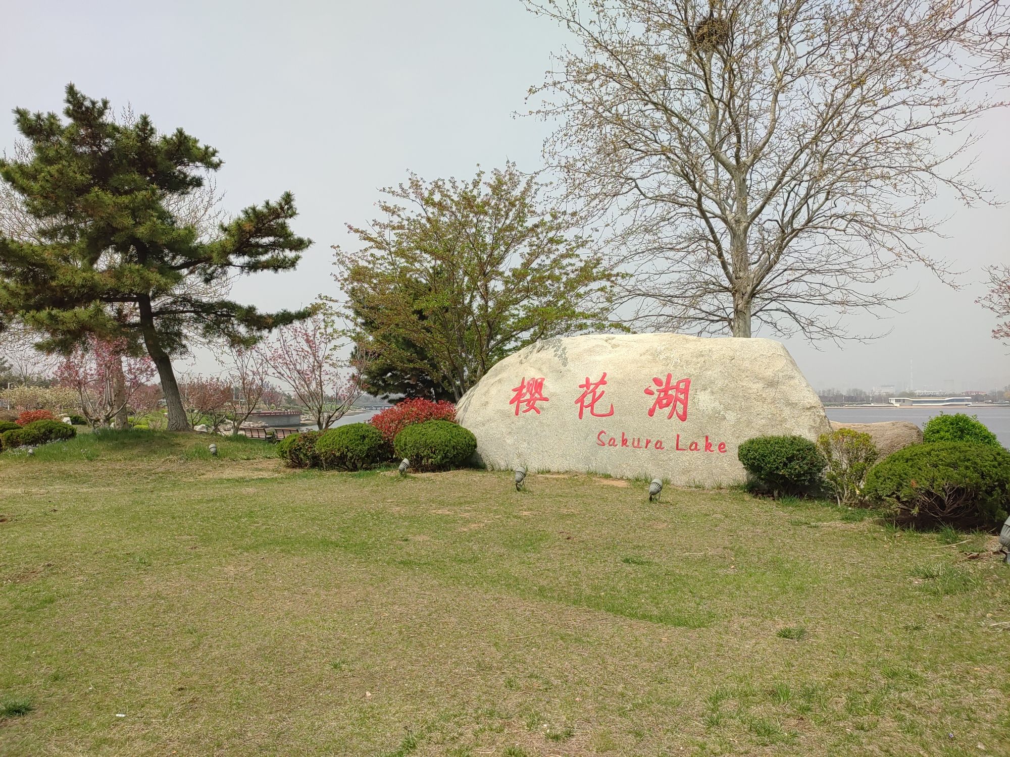 樱花湖旅行图片 1
