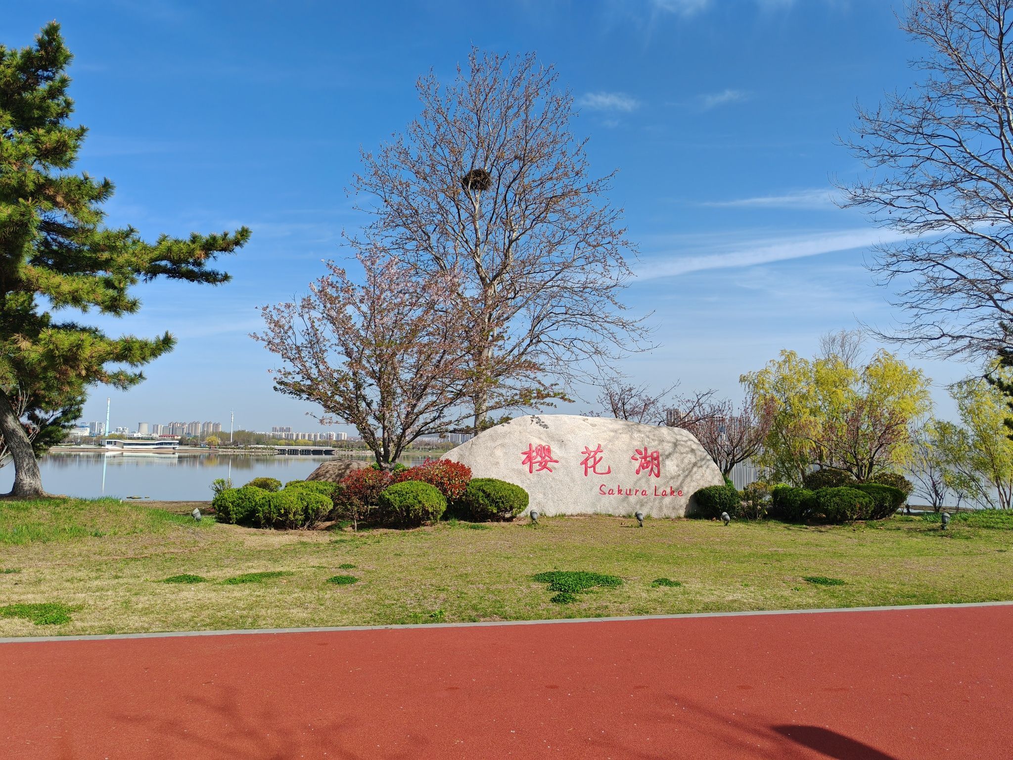 樱花湖旅行图片 1