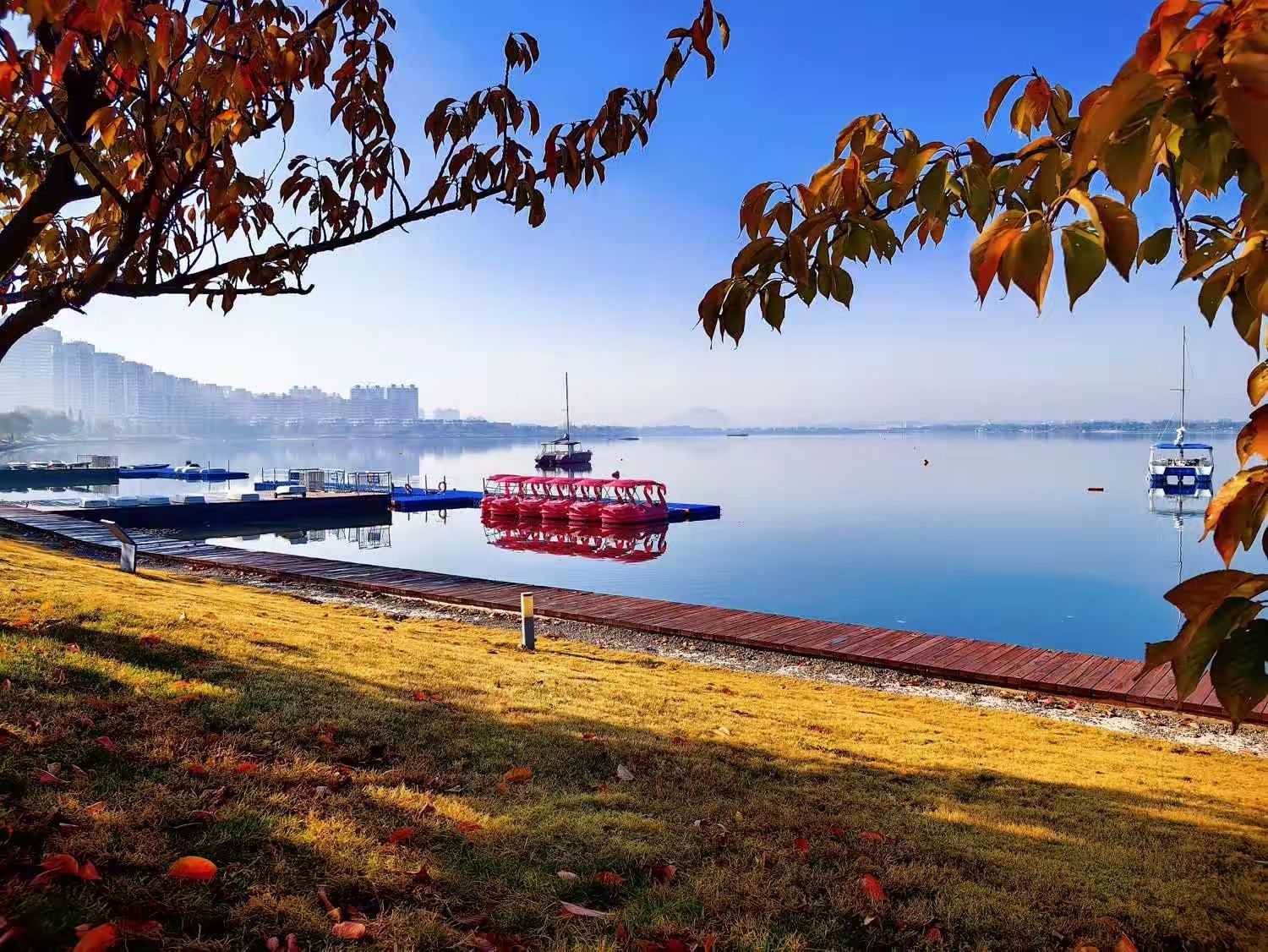 樱花湖旅行图片 3