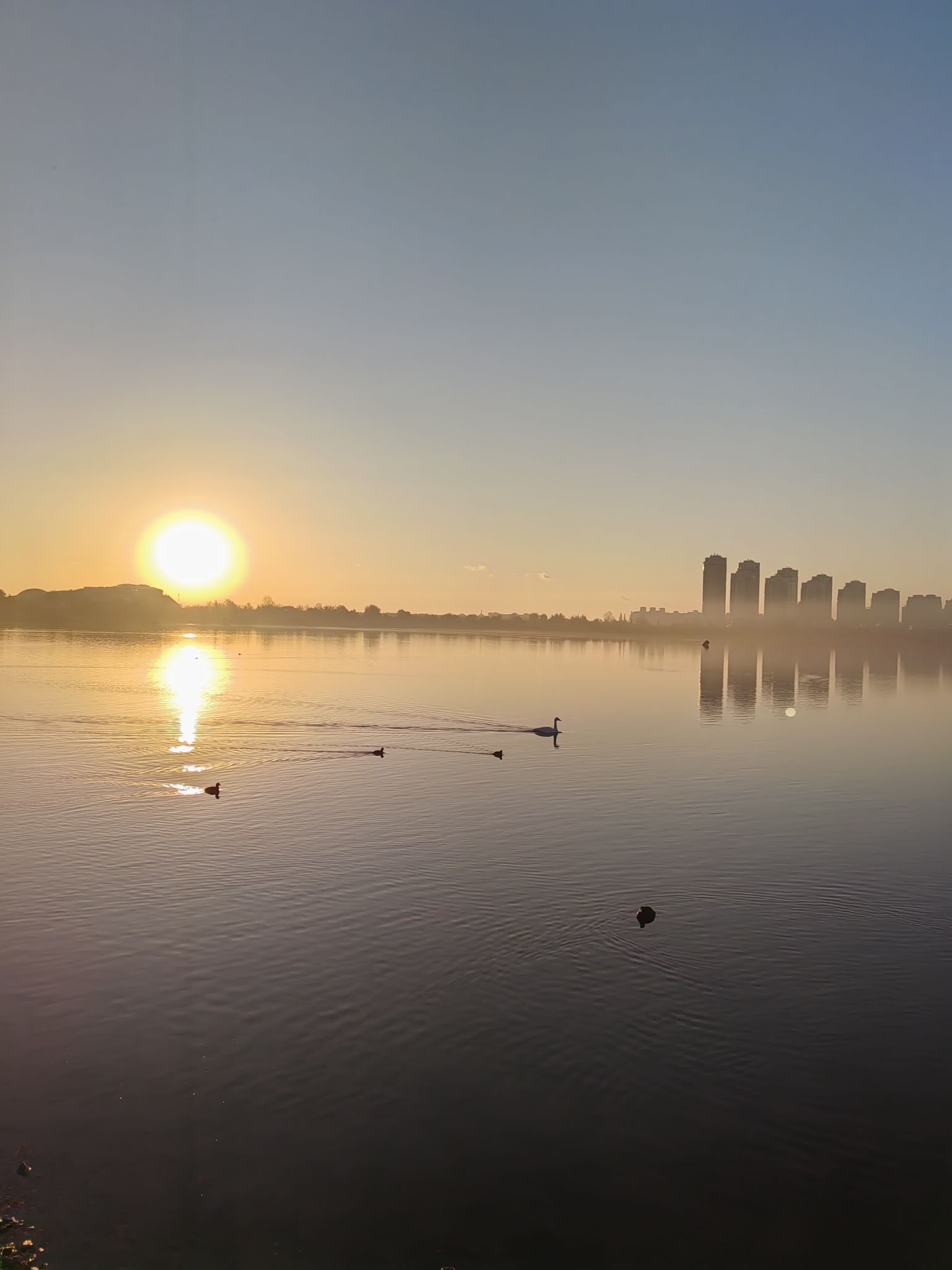樱花湖旅行图片 3