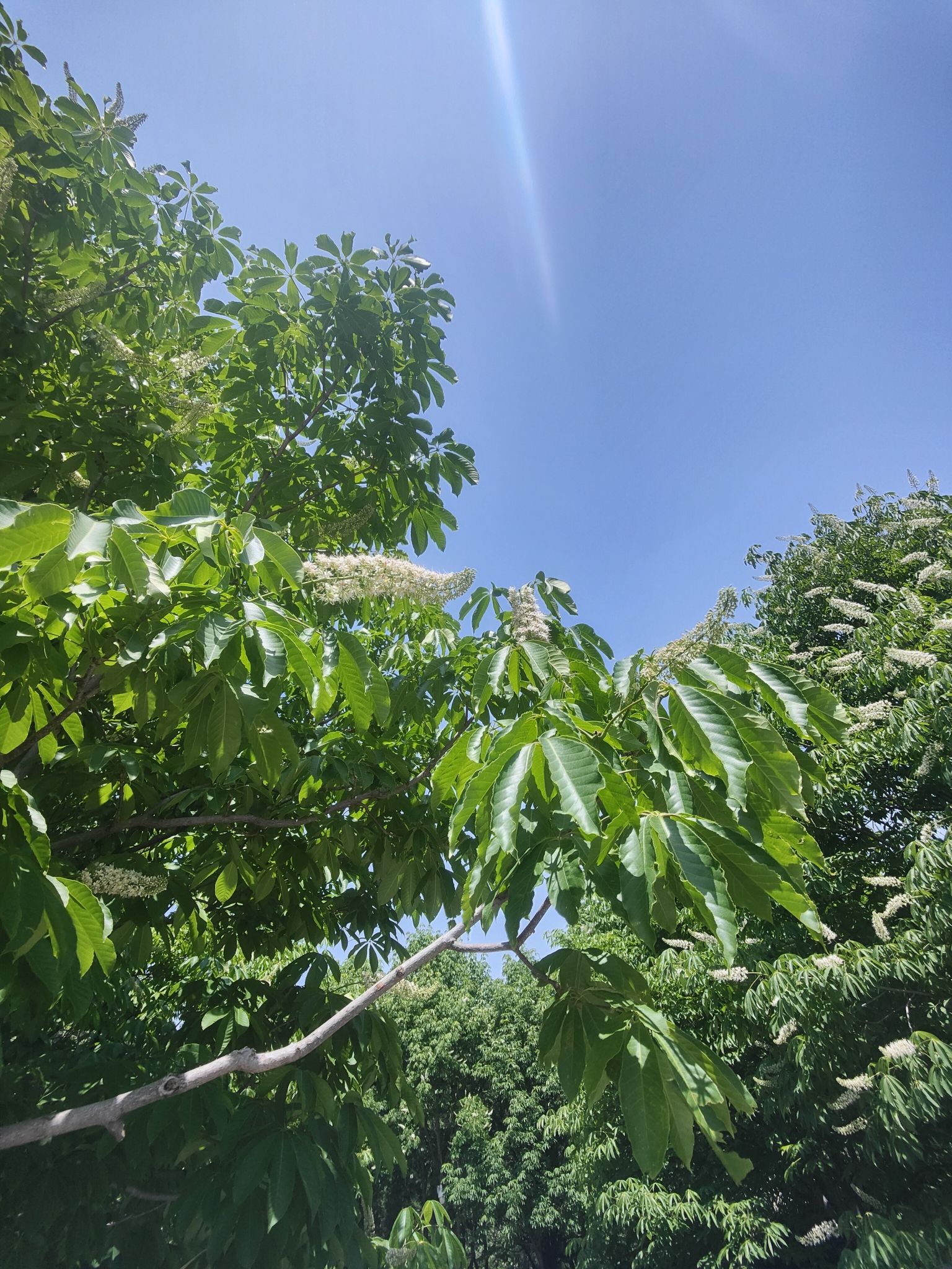 伟德山风景区旅行图片 1