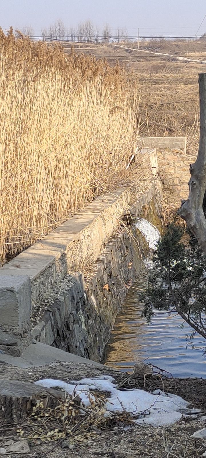 伟德山风景区旅行图片 1
